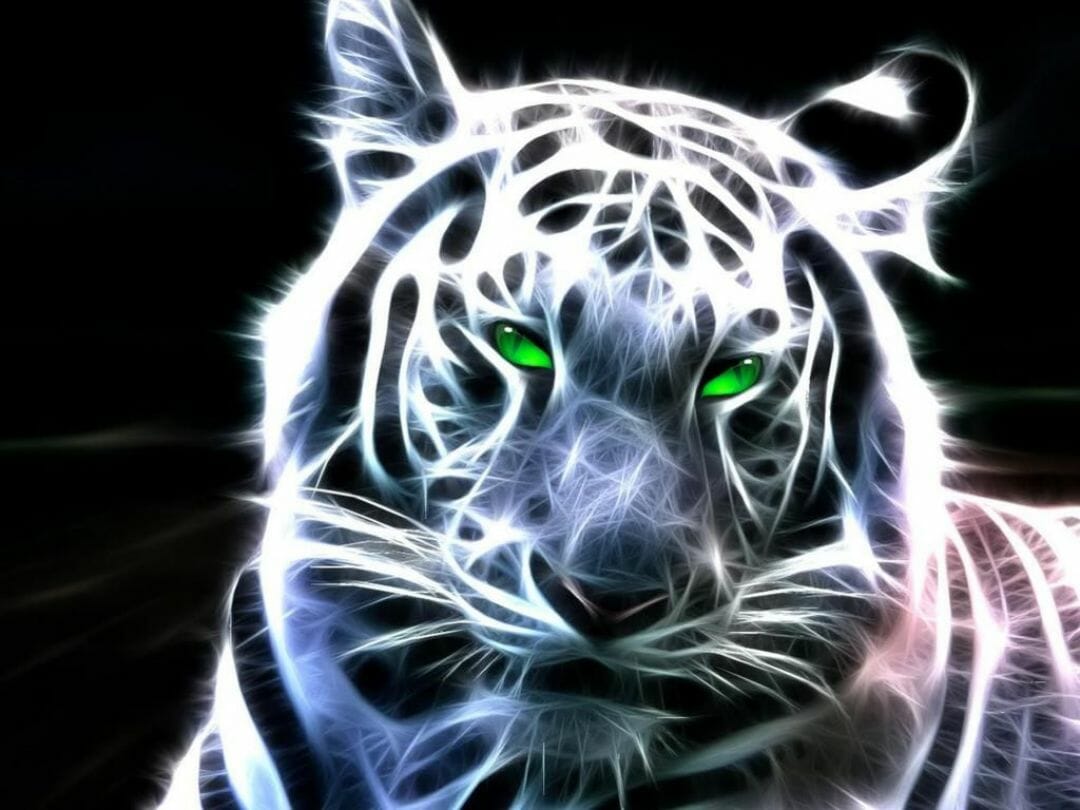 3D Hd Tiger Wallpapers