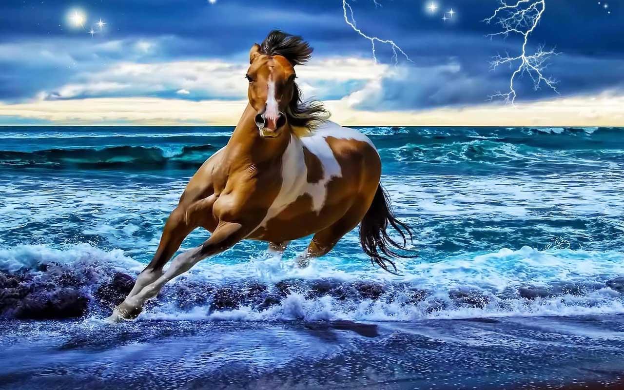 3D Horse Wallpapers