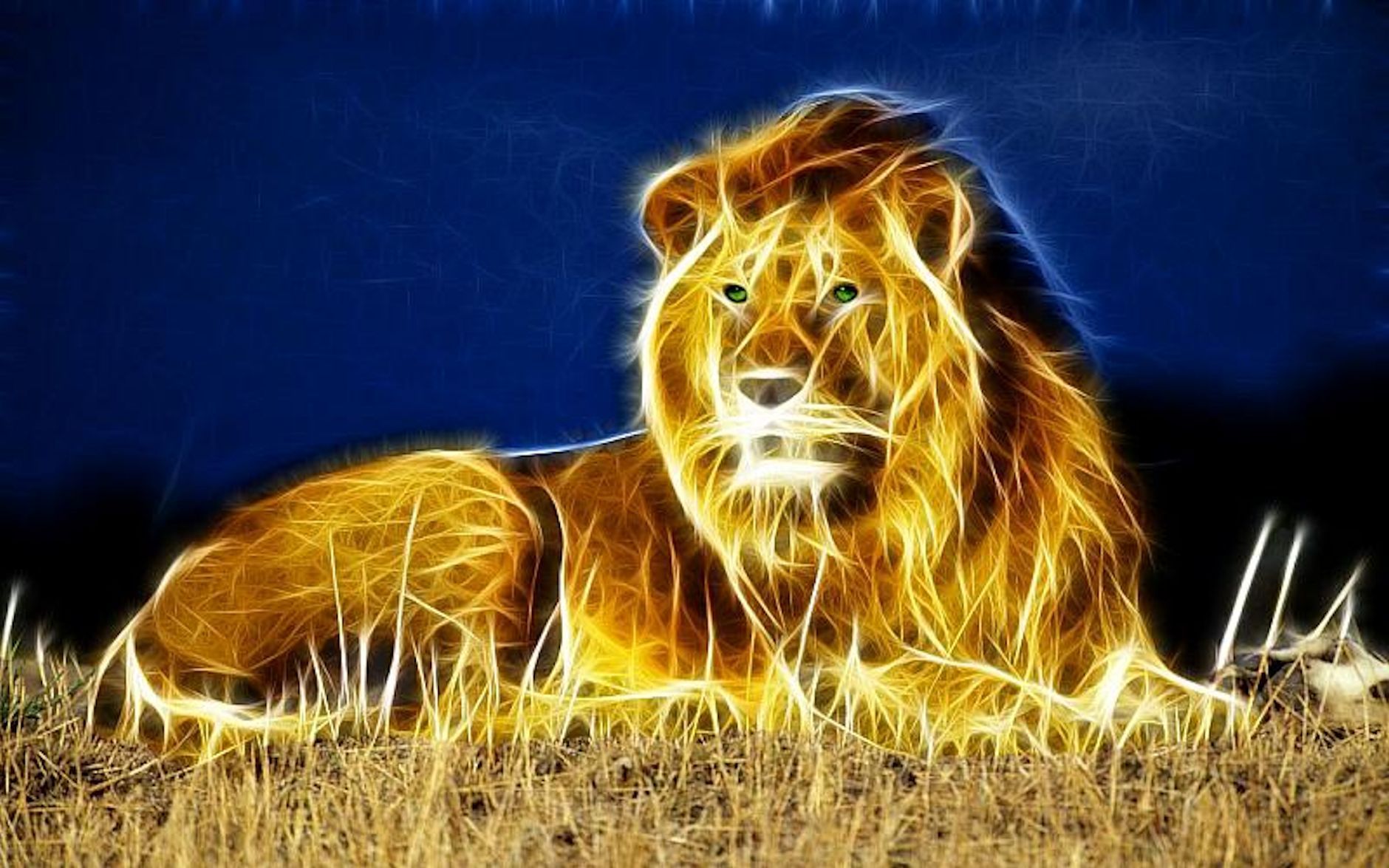 3D Lion Wallpapers