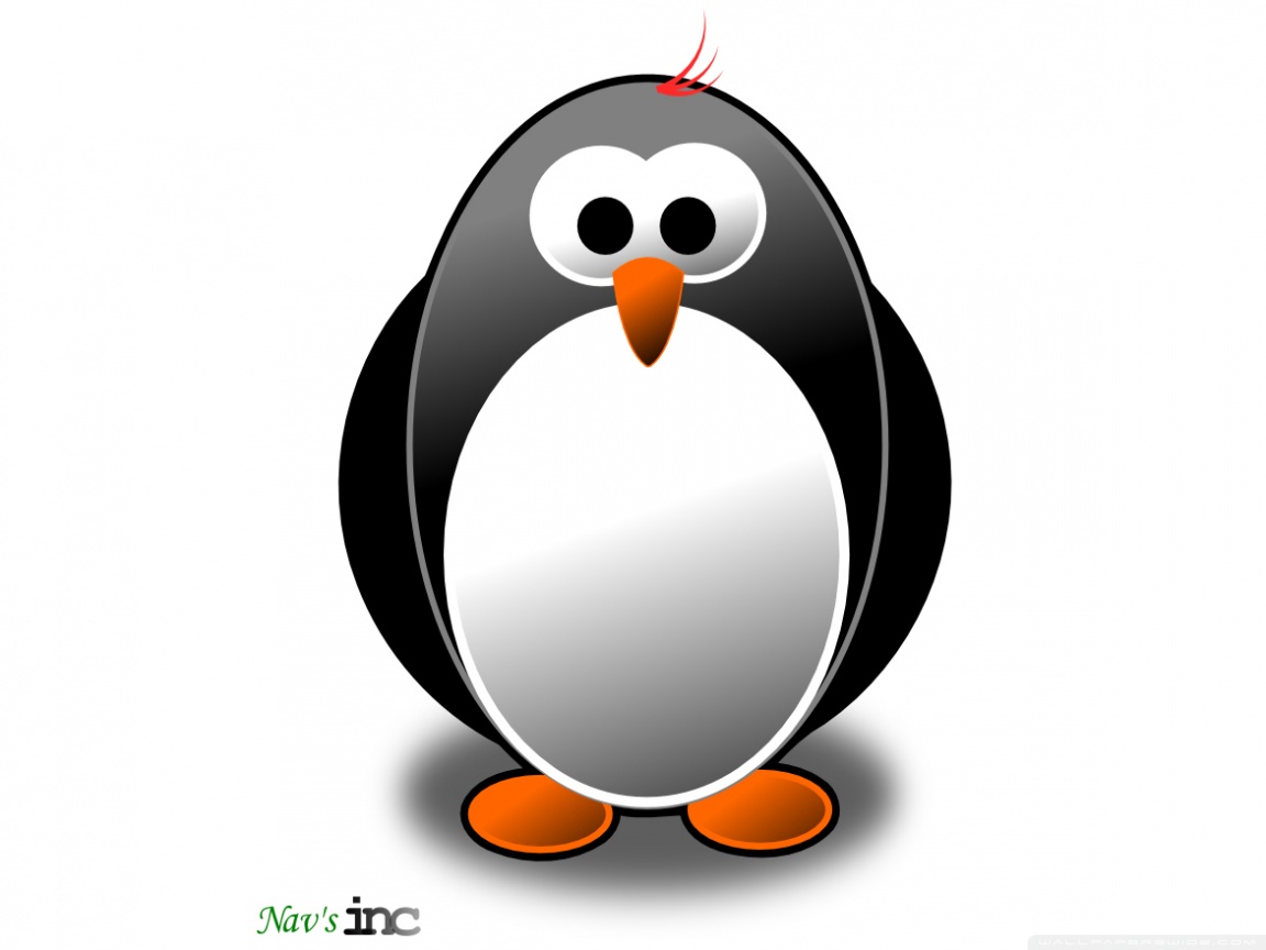 3D Penguin Wallpapers