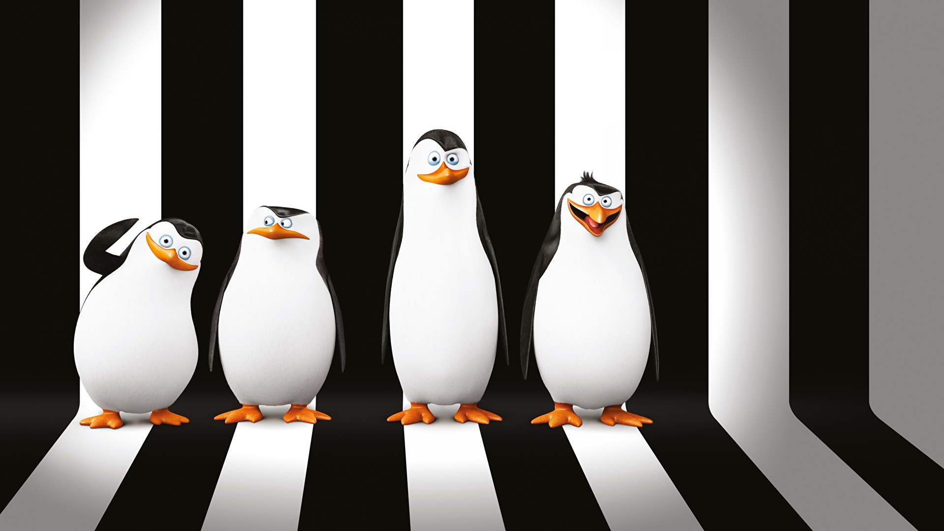 3D Penguin Wallpapers