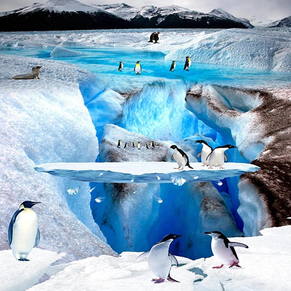 3D Penguin Wallpapers