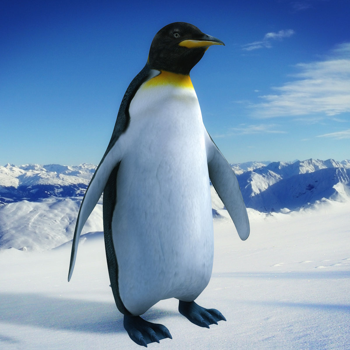 3D Penguin Wallpapers