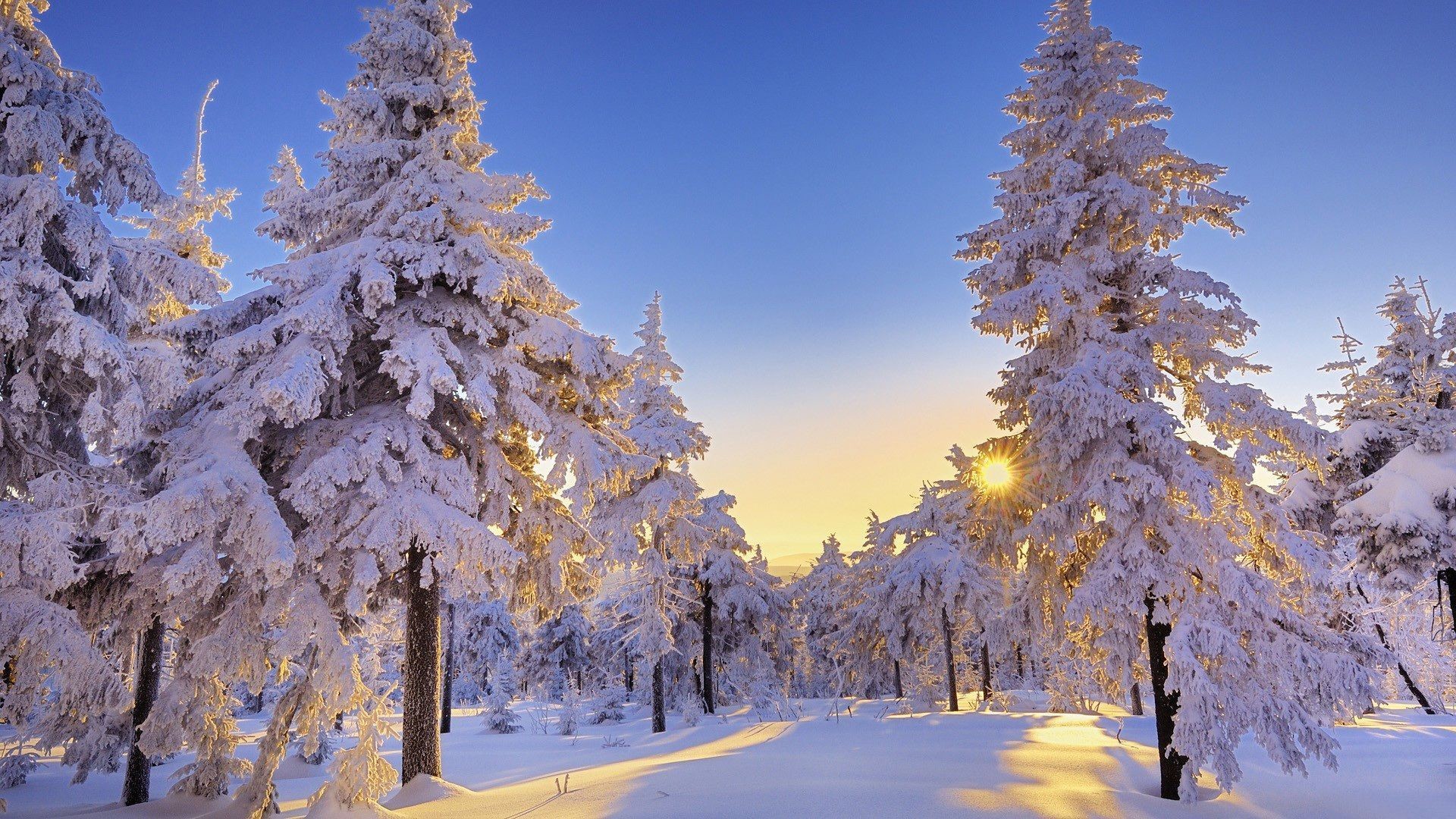 3D Winter Wallpapers