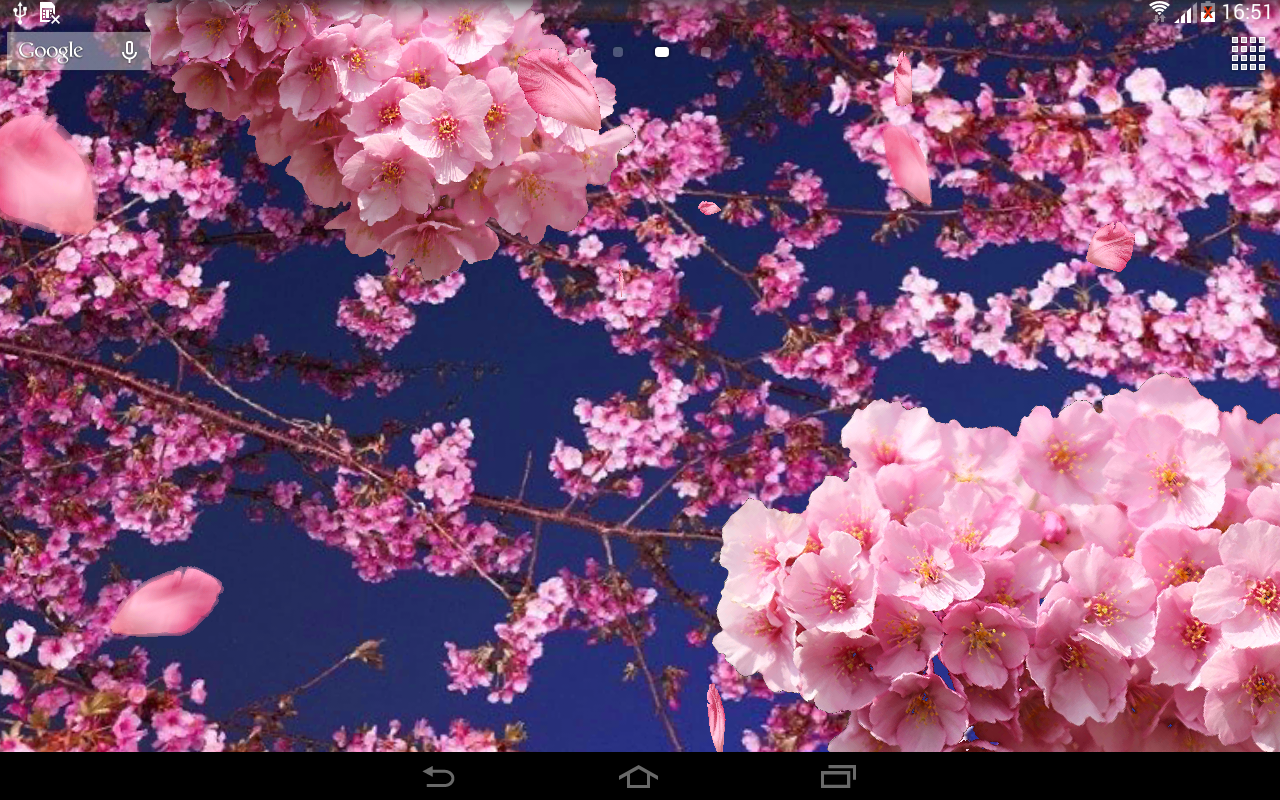 3D Flower Live Wallpapers