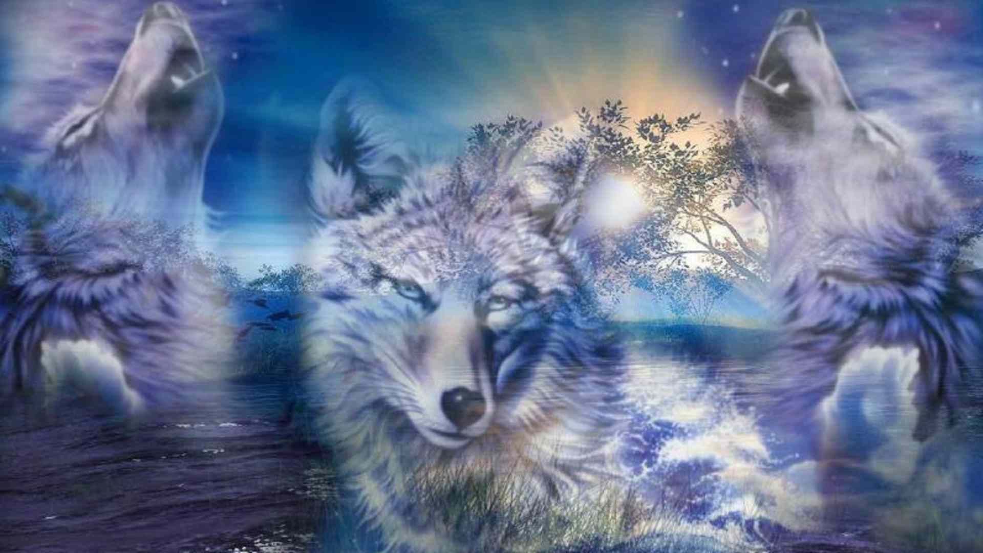 3D Wolf Wallpapers