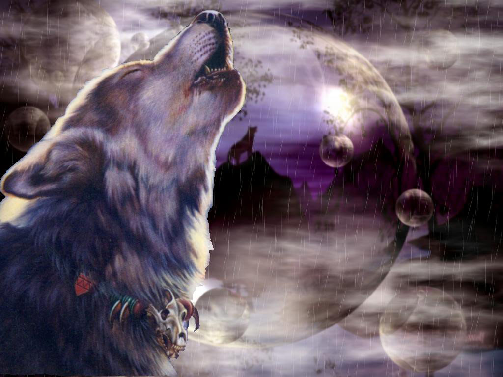 3D Wolf Wallpapers