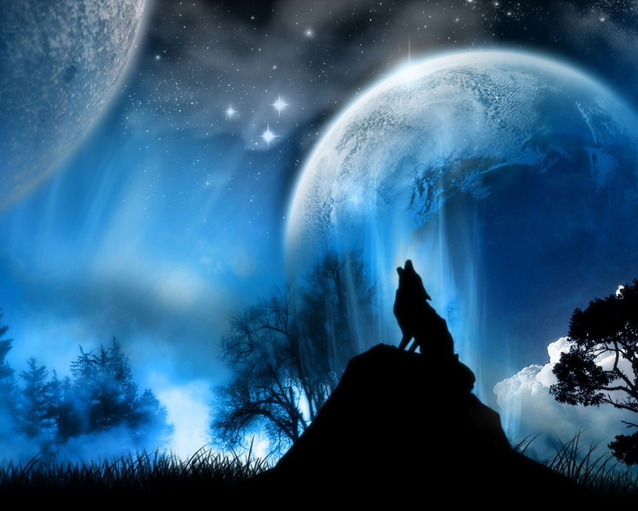 3D Wolf Wallpapers