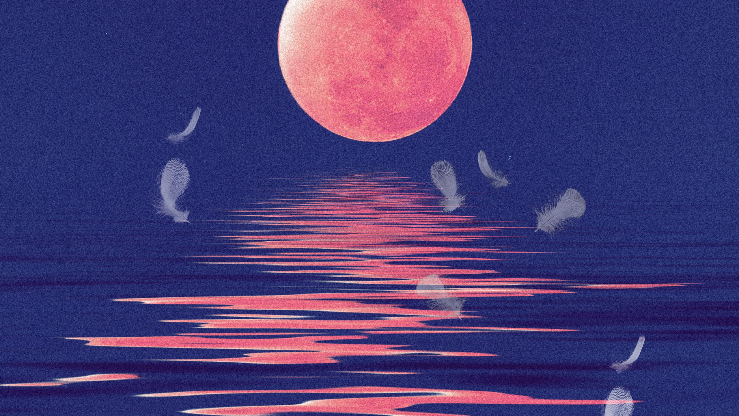 A Fool Moon Night Space Traveler Art Wallpapers