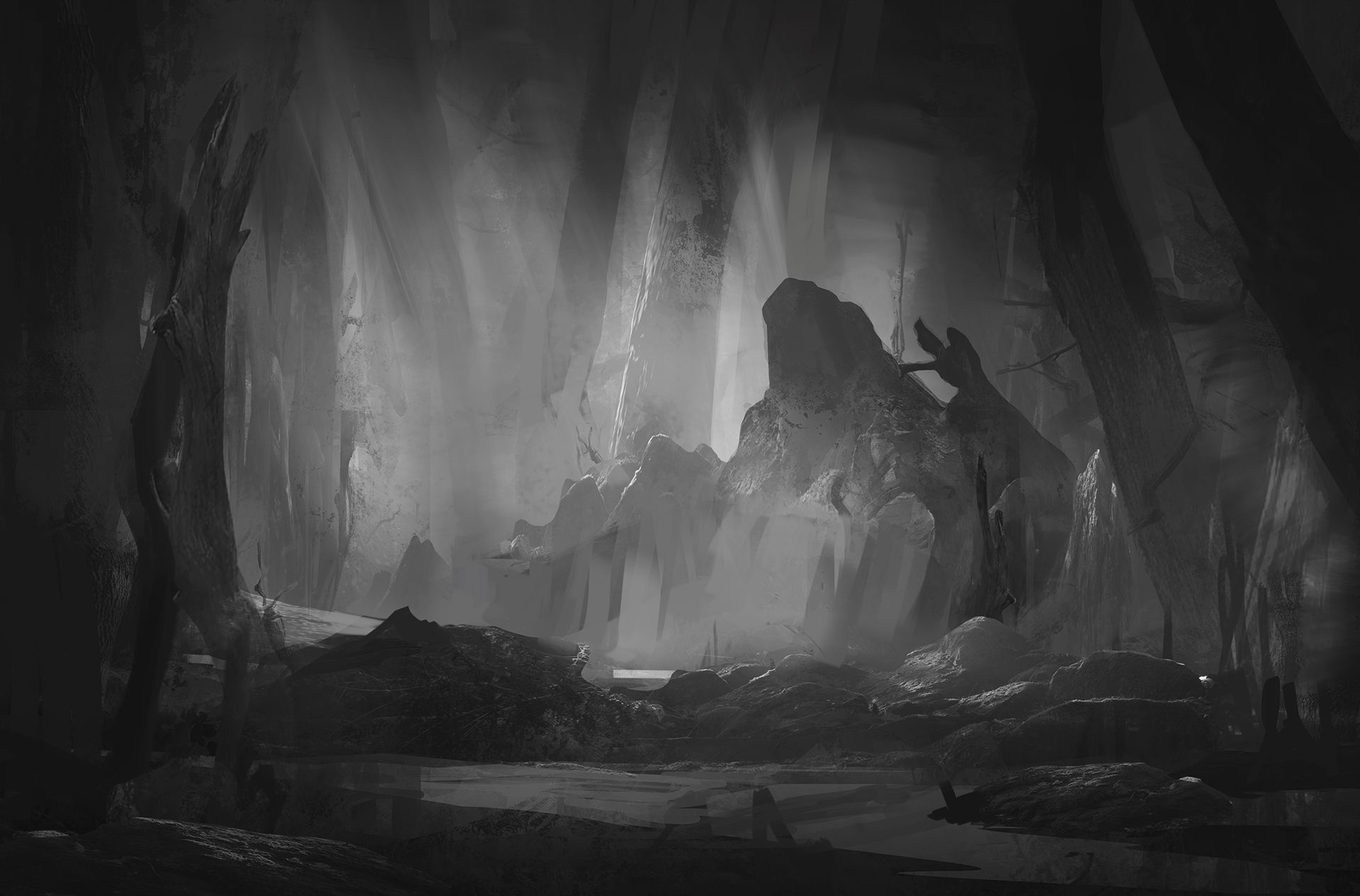 A Mysterious Forest Art Wallpapers