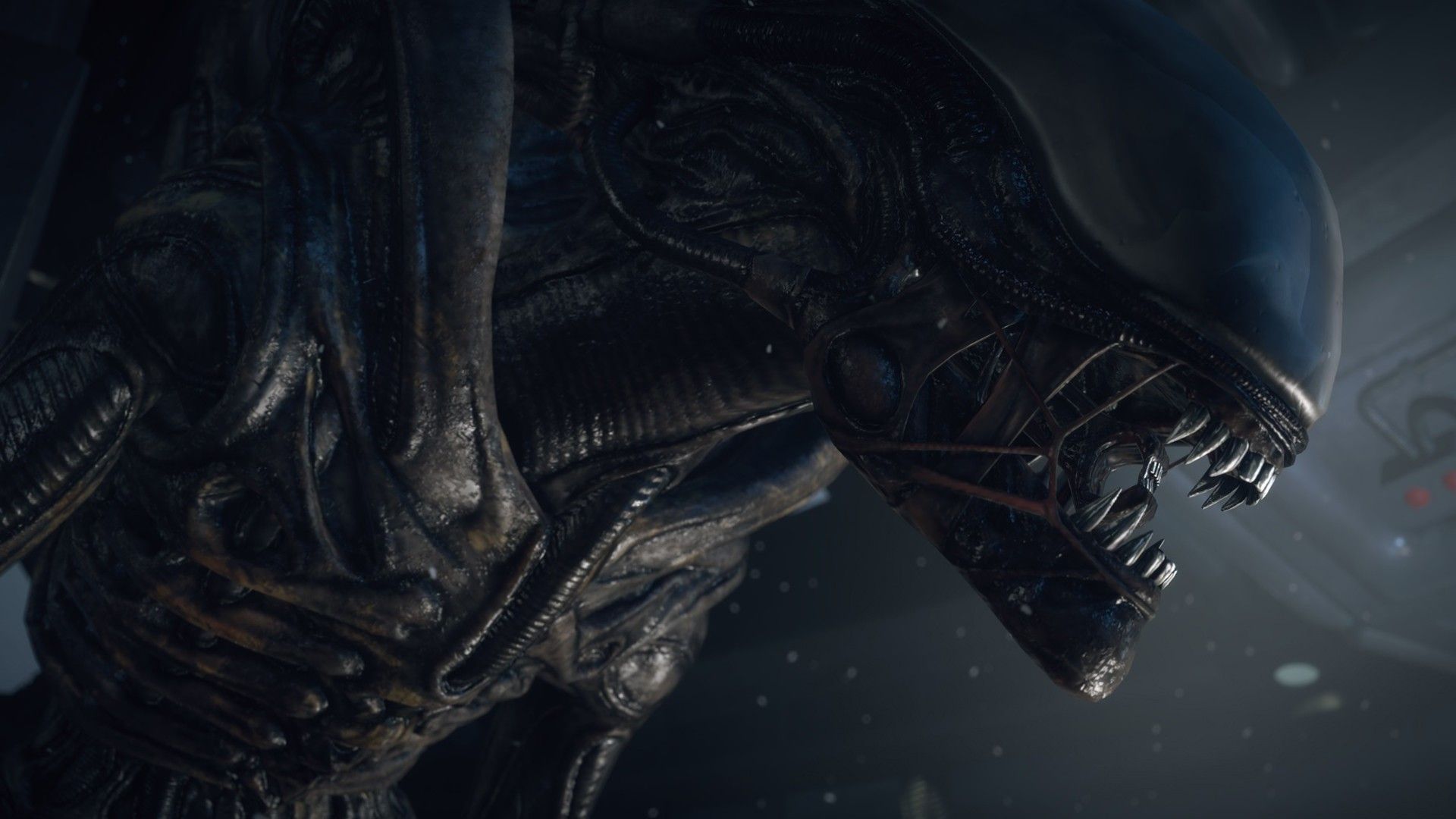 Alien Movie Xenomorph Artwork Wallpapers