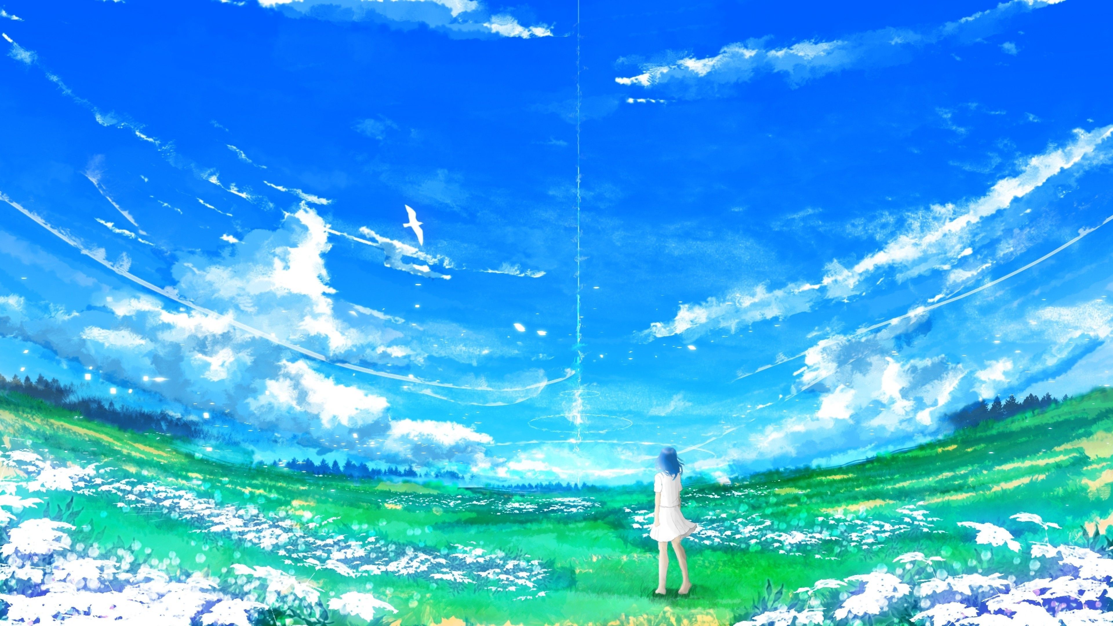 Anime Girl In Field Wallpapers