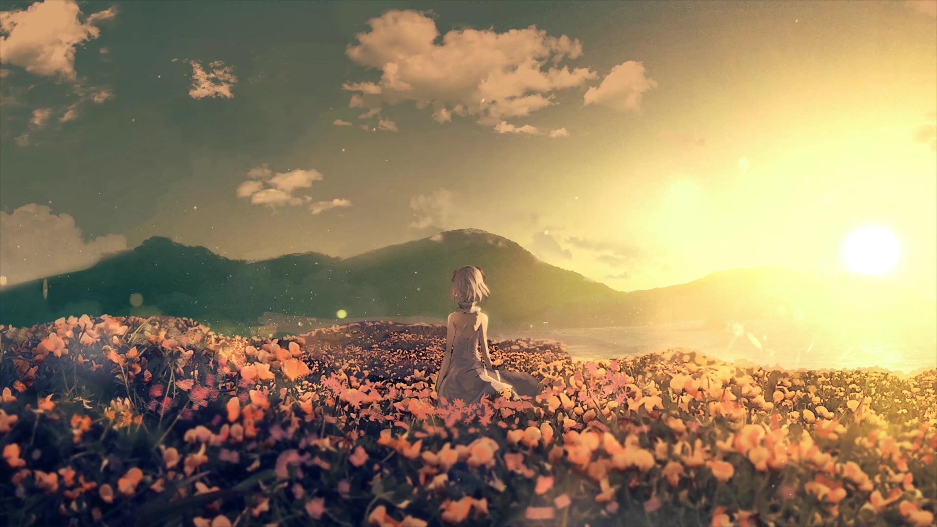 Anime Girl In Field Wallpapers