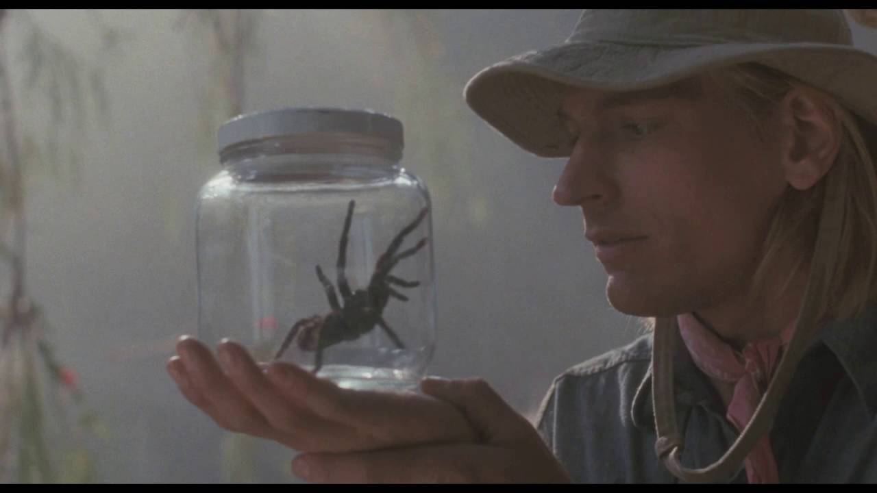 Arachnophobia Dark Movie Hd Art Wallpapers