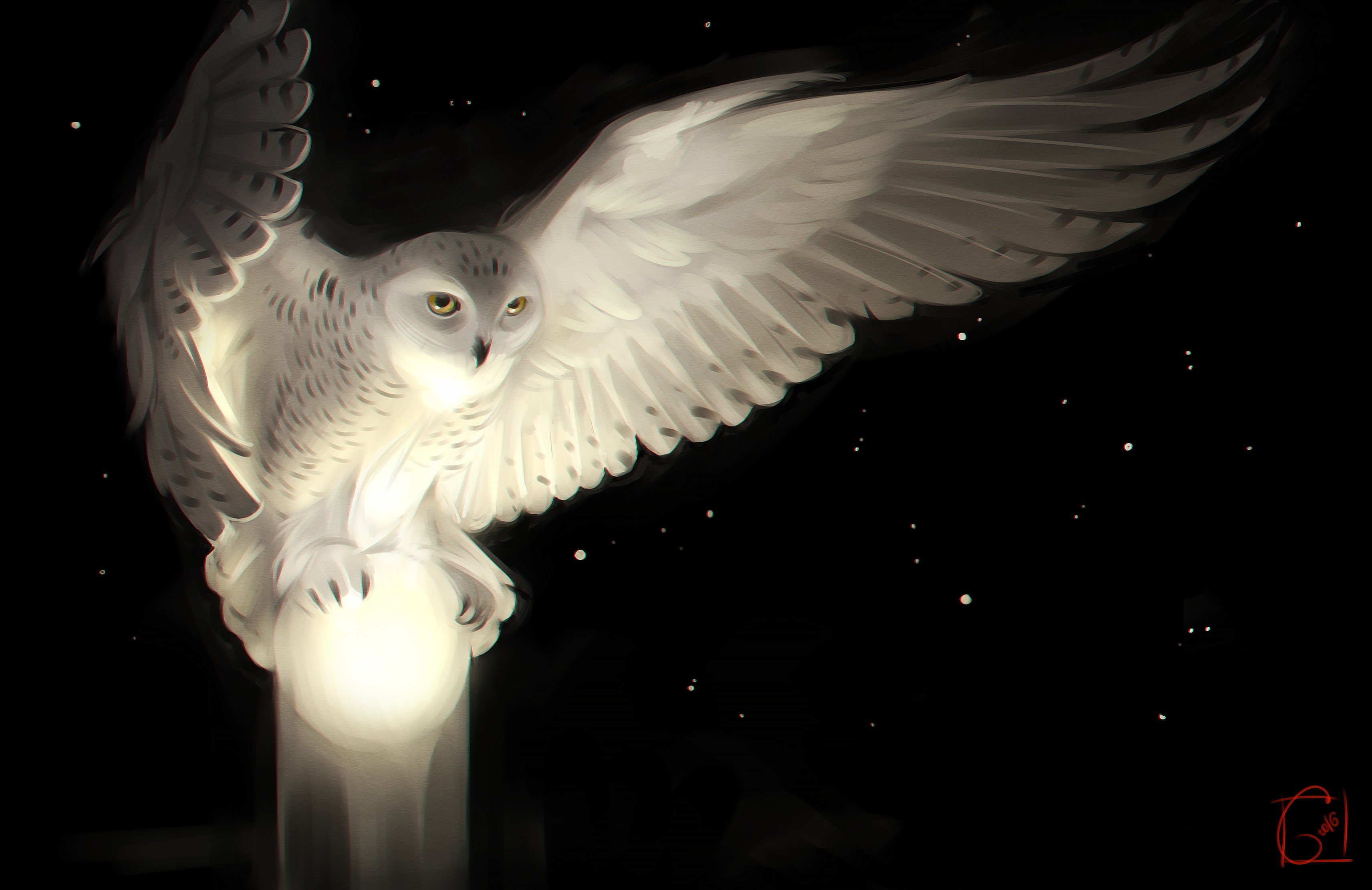 Art Owl Wallpapers