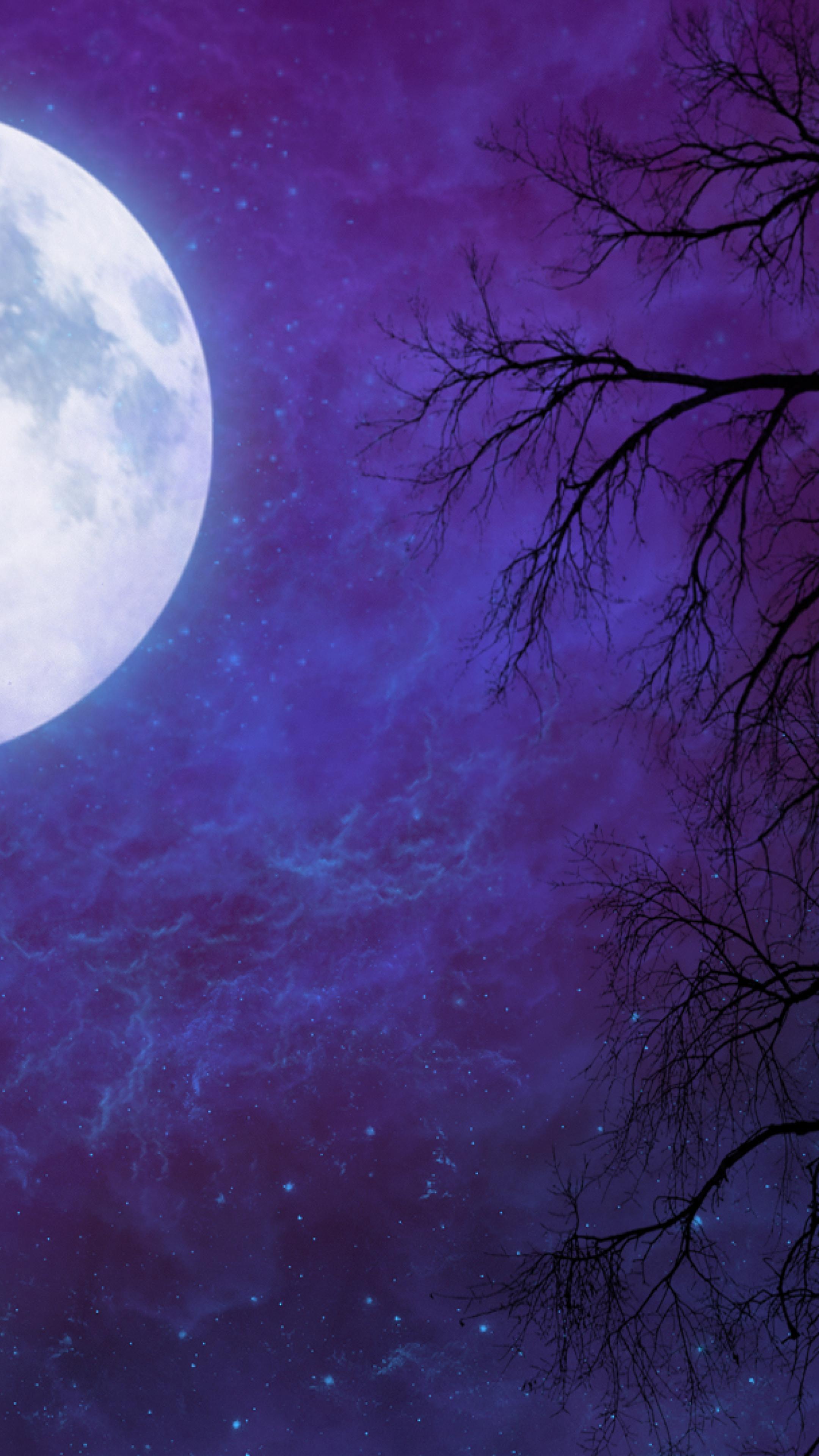 Artistic Full Moon In Starry Night Sky Wallpapers