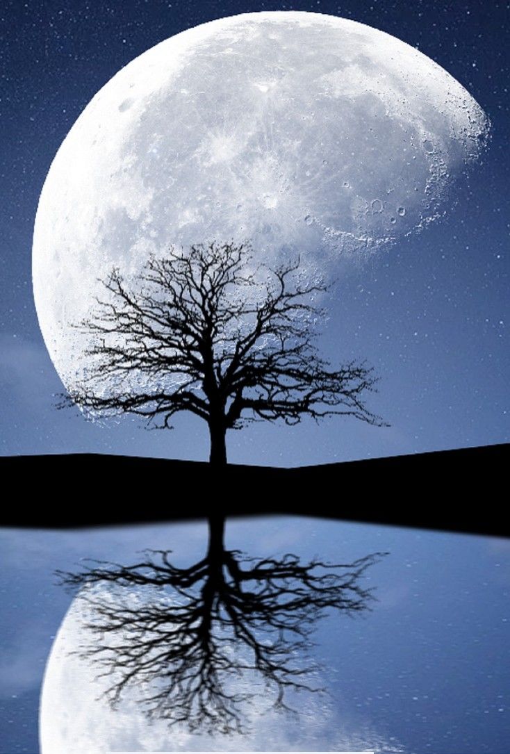 Artistic Moon Amazing Cool Wallpapers