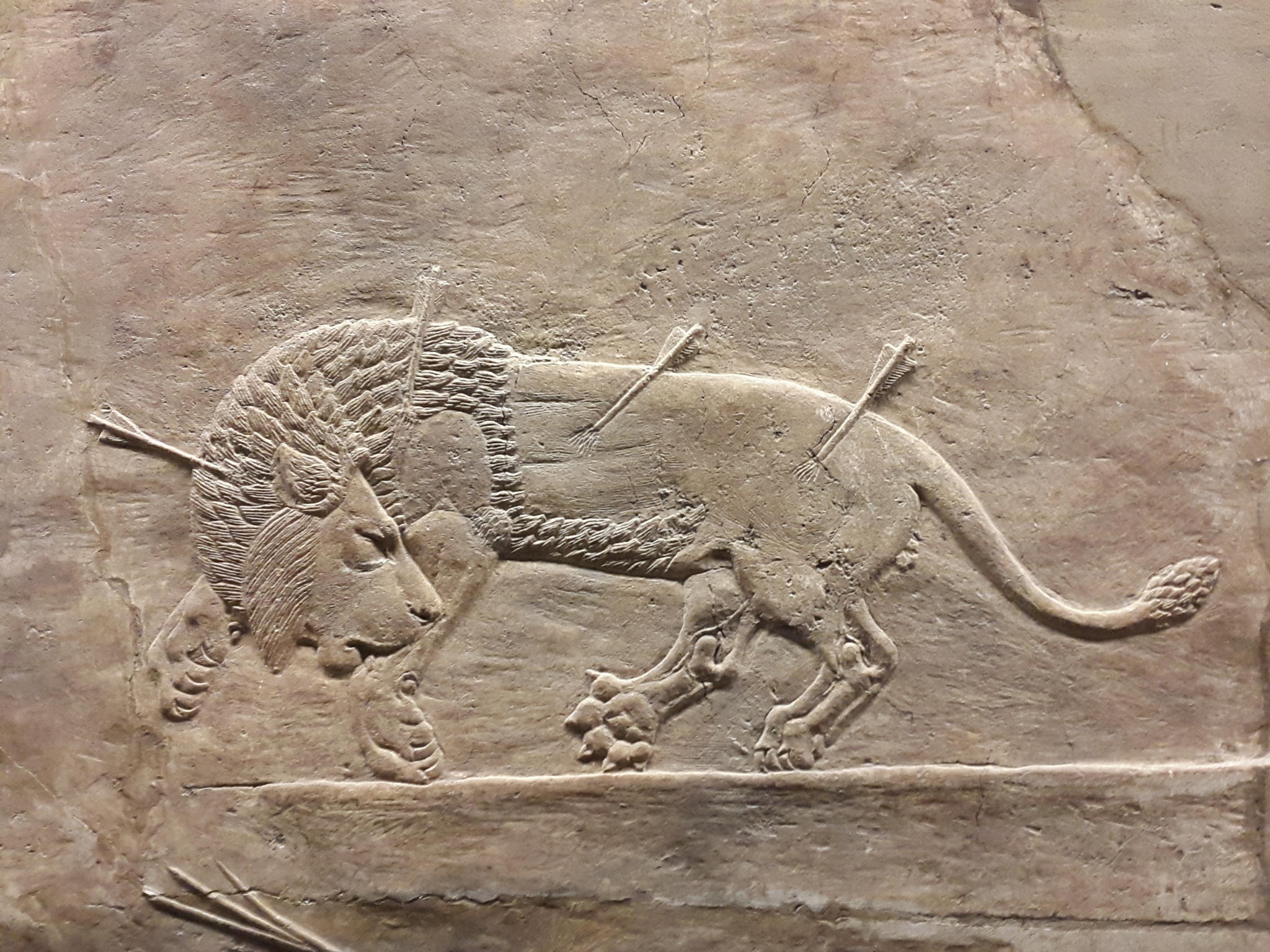 Assyria: Lion Hunts Wallpapers