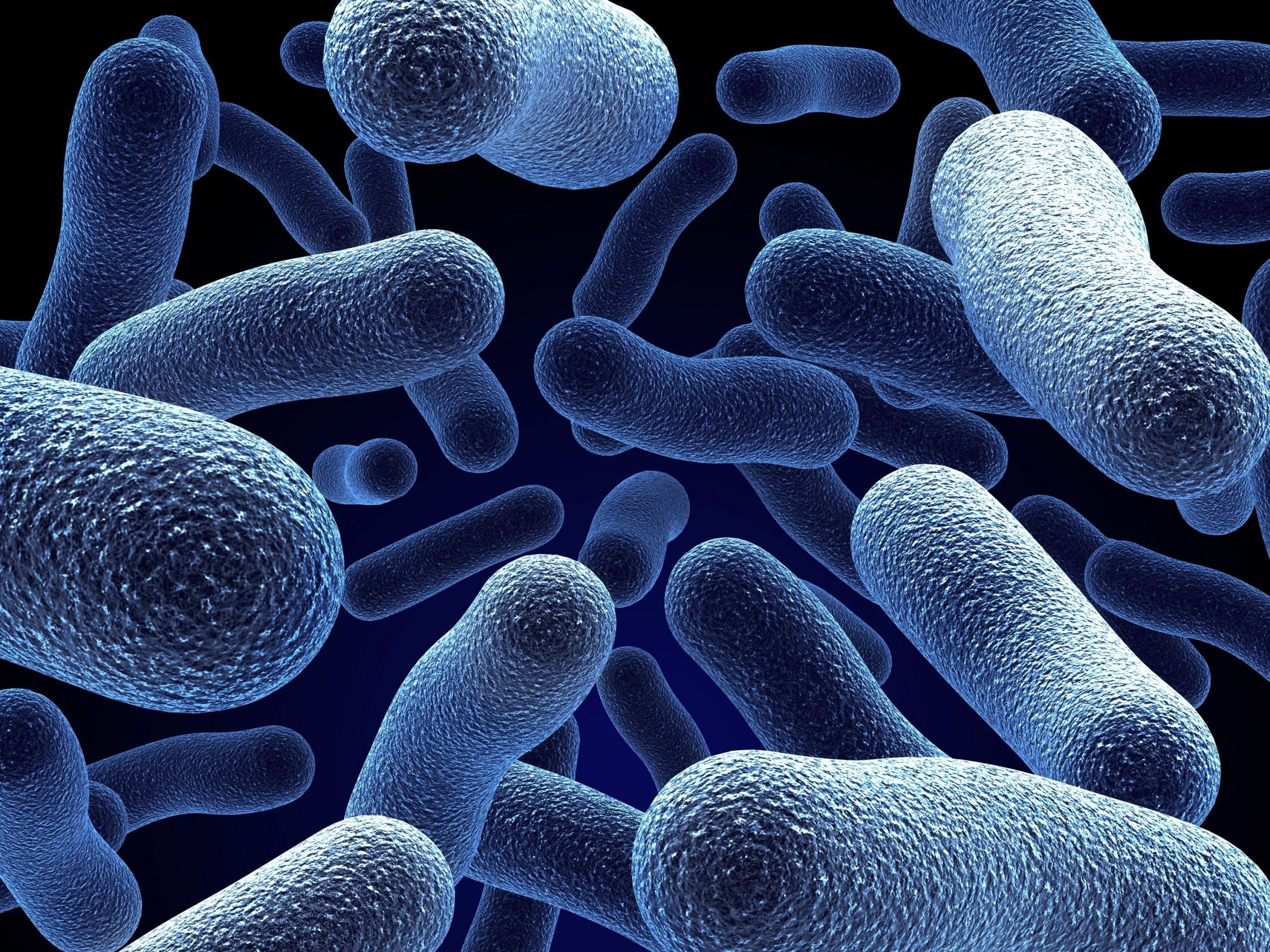 Bacteria Wallpapers