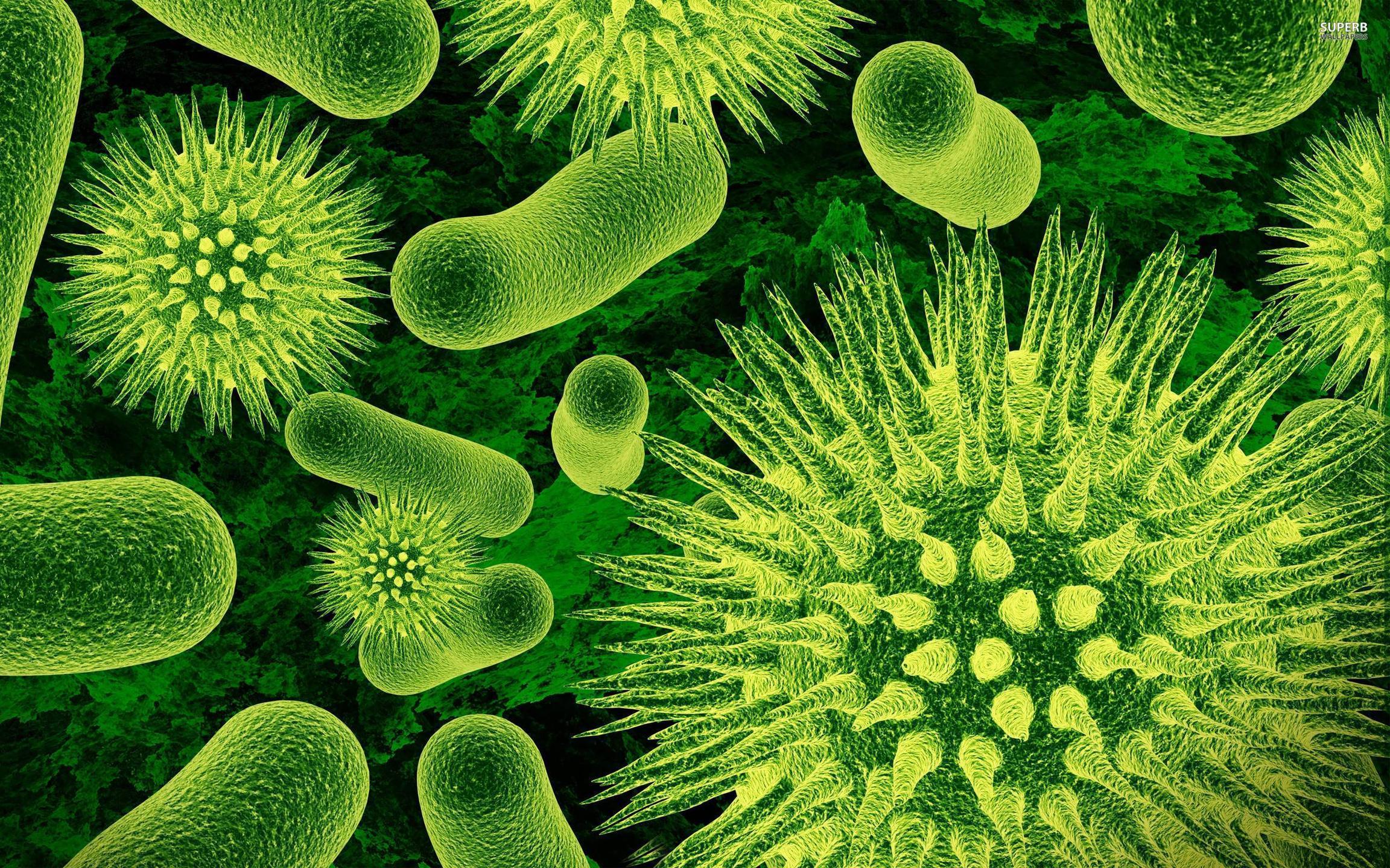 Bacteria Wallpapers