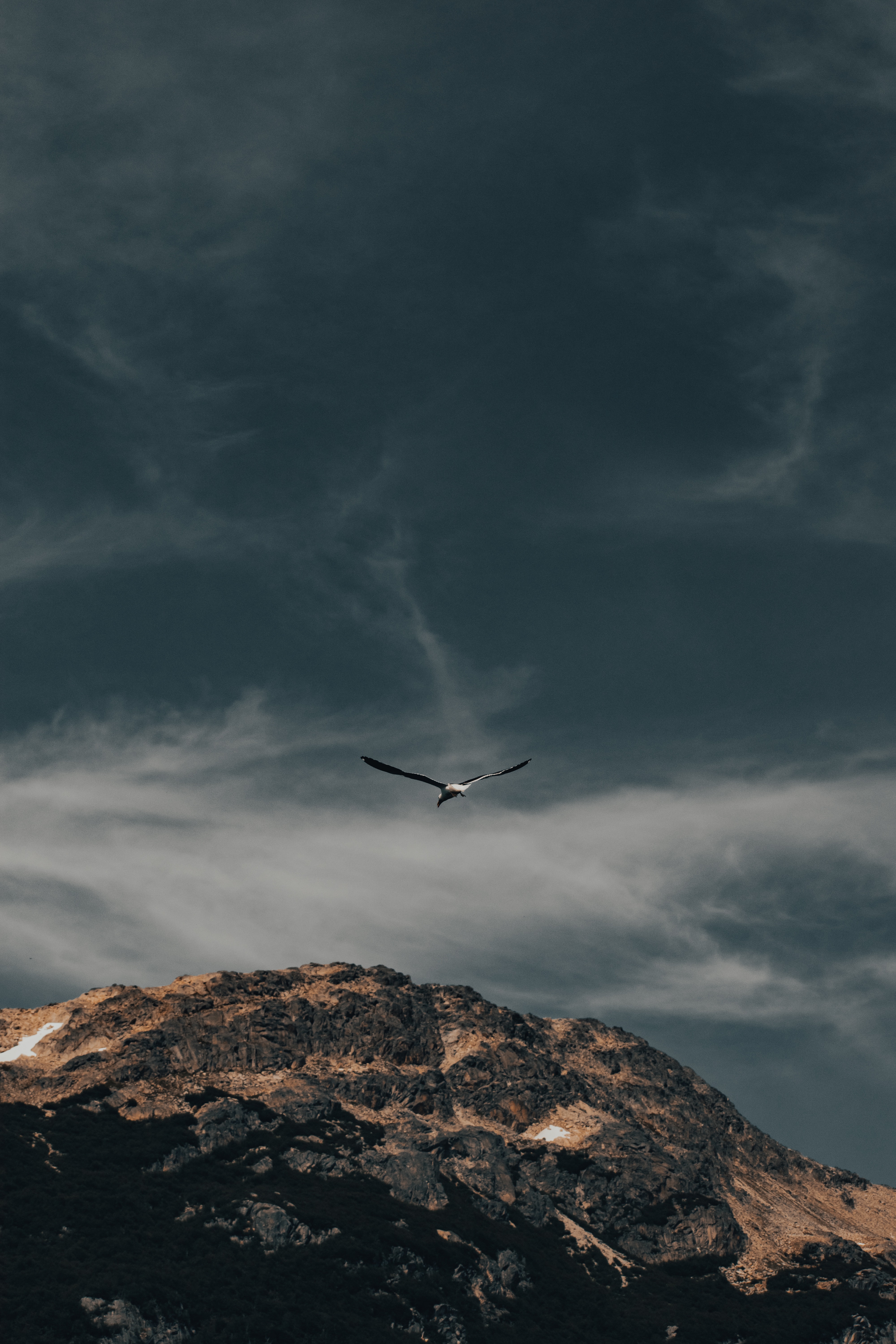 Birds Flying Over Mountains Wallpapers