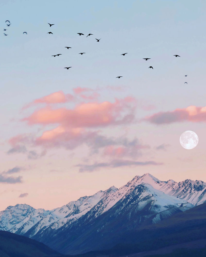 Birds Flying Over Mountains Wallpapers