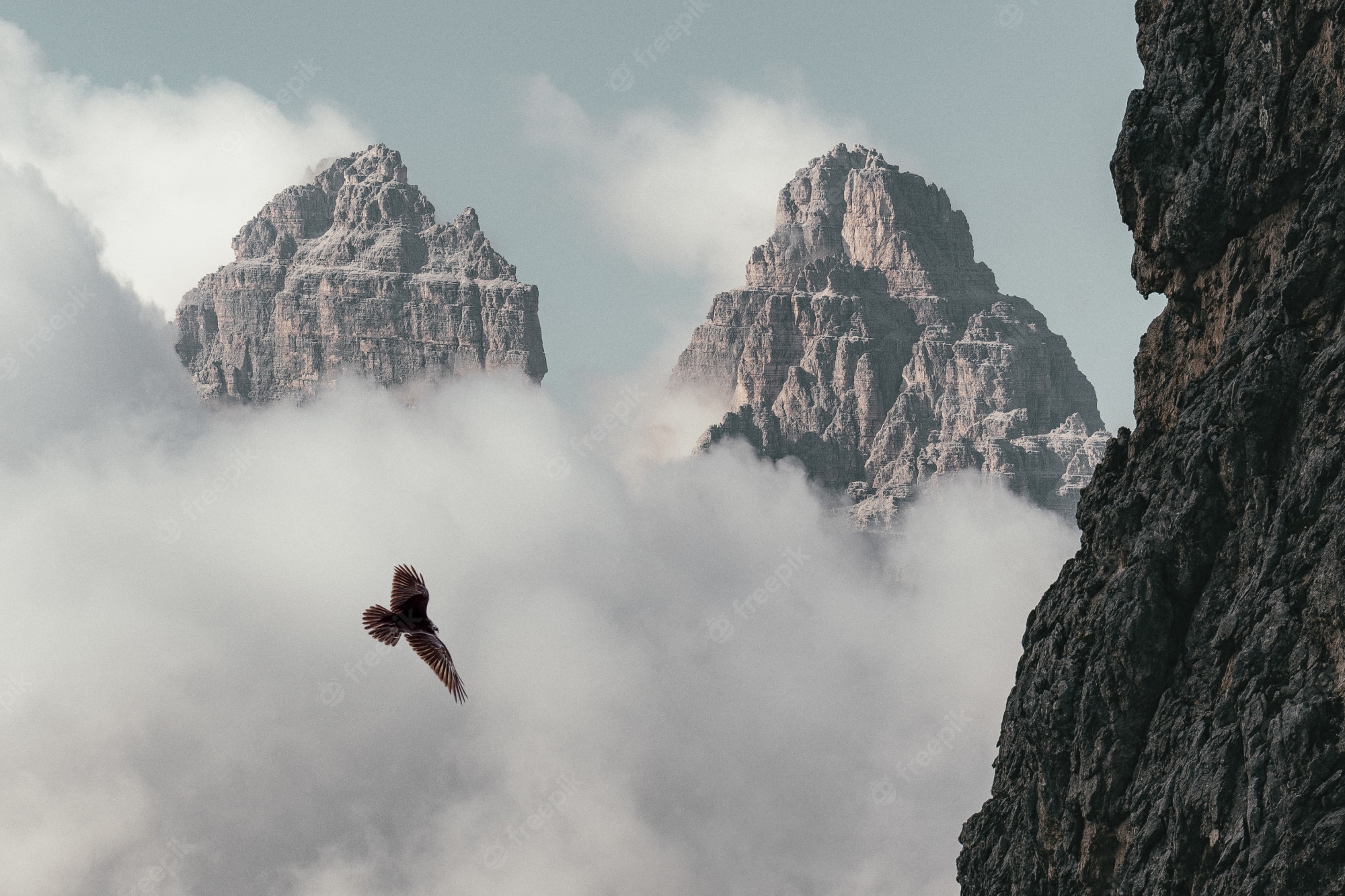 Birds Flying Over Mountains Wallpapers