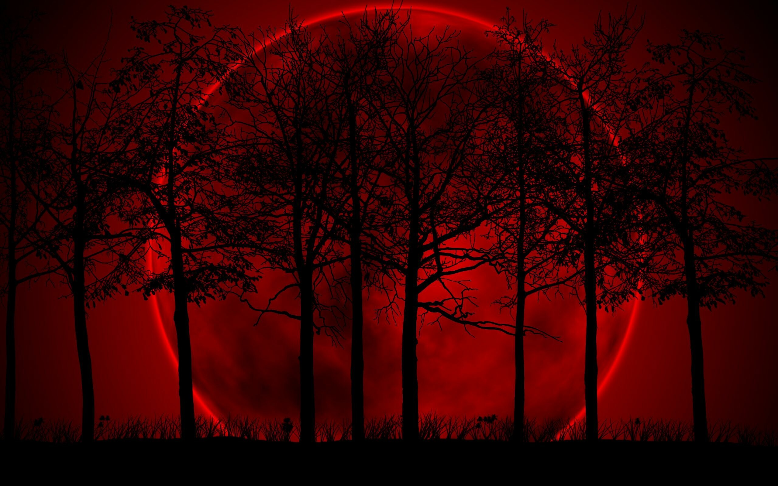 Blood Moon Night Photography Wallpapers