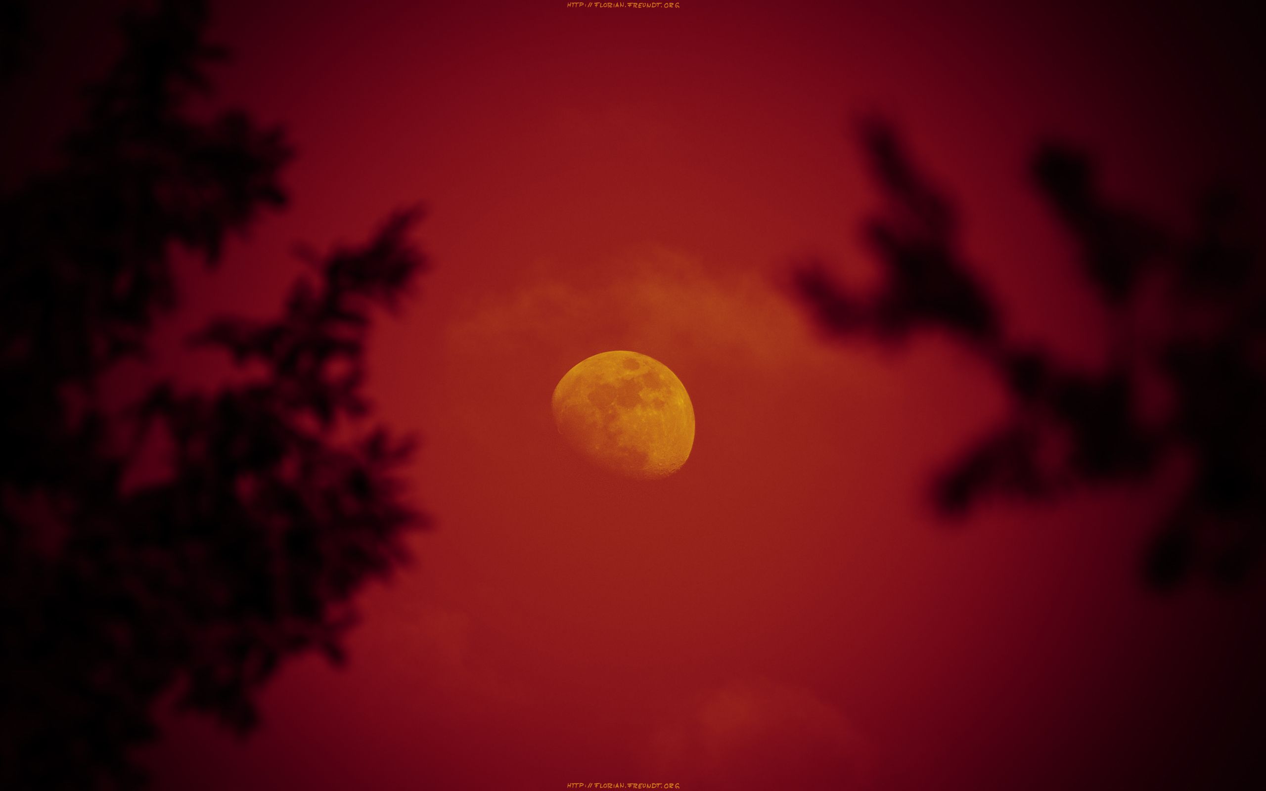 Blood Moon Night Photography Wallpapers