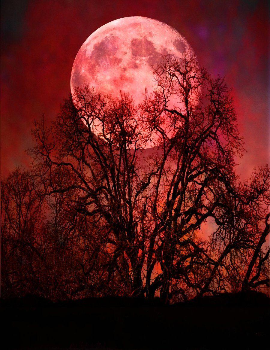 Blood Moon Night Photography Wallpapers