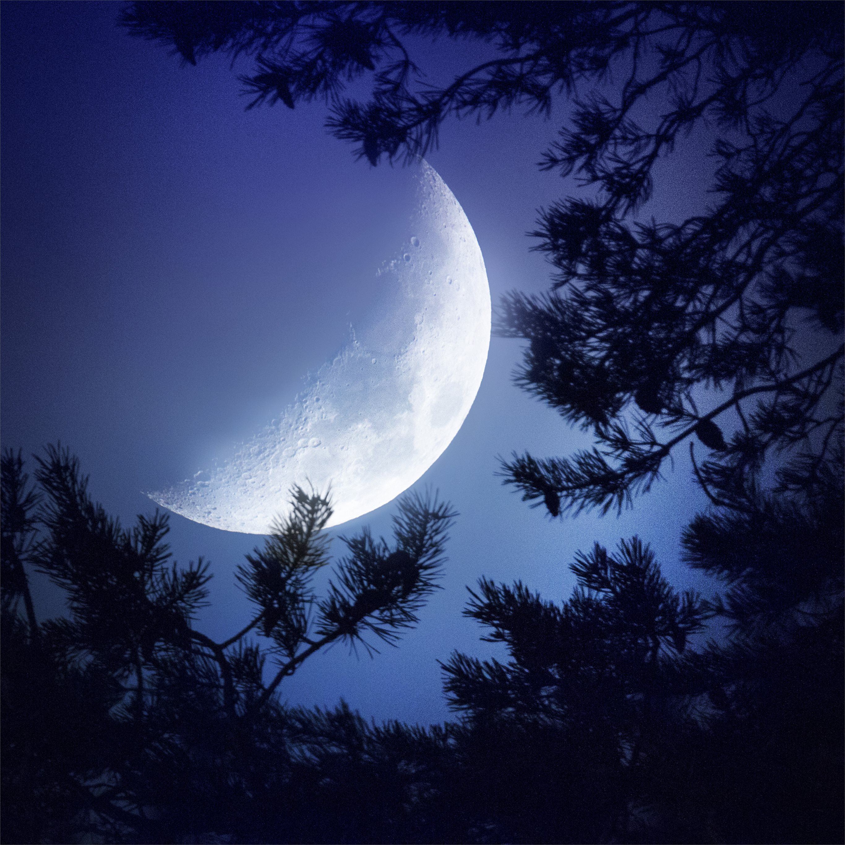 Blue Dark Moon Wallpapers