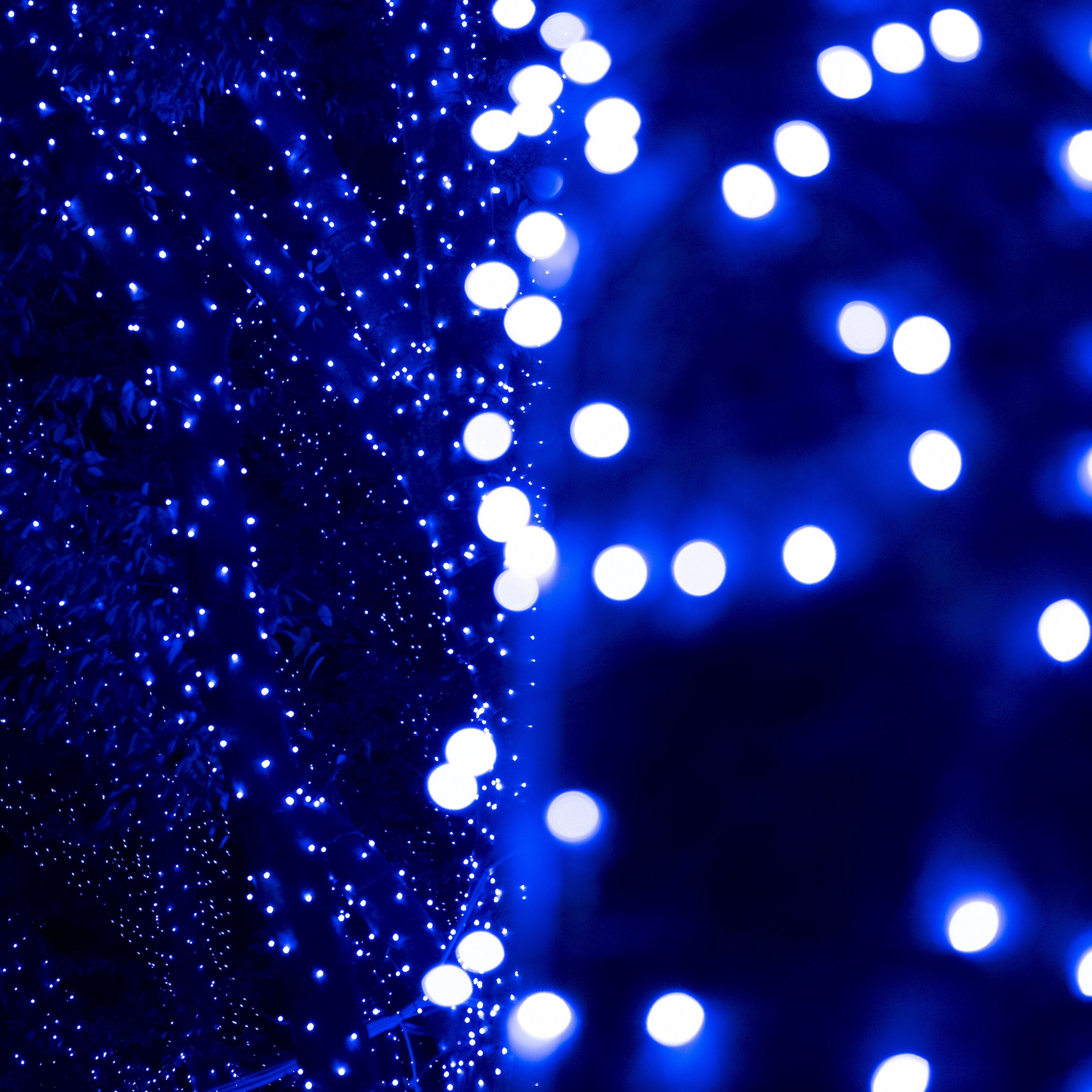 Blue Dot Lights Wallpapers