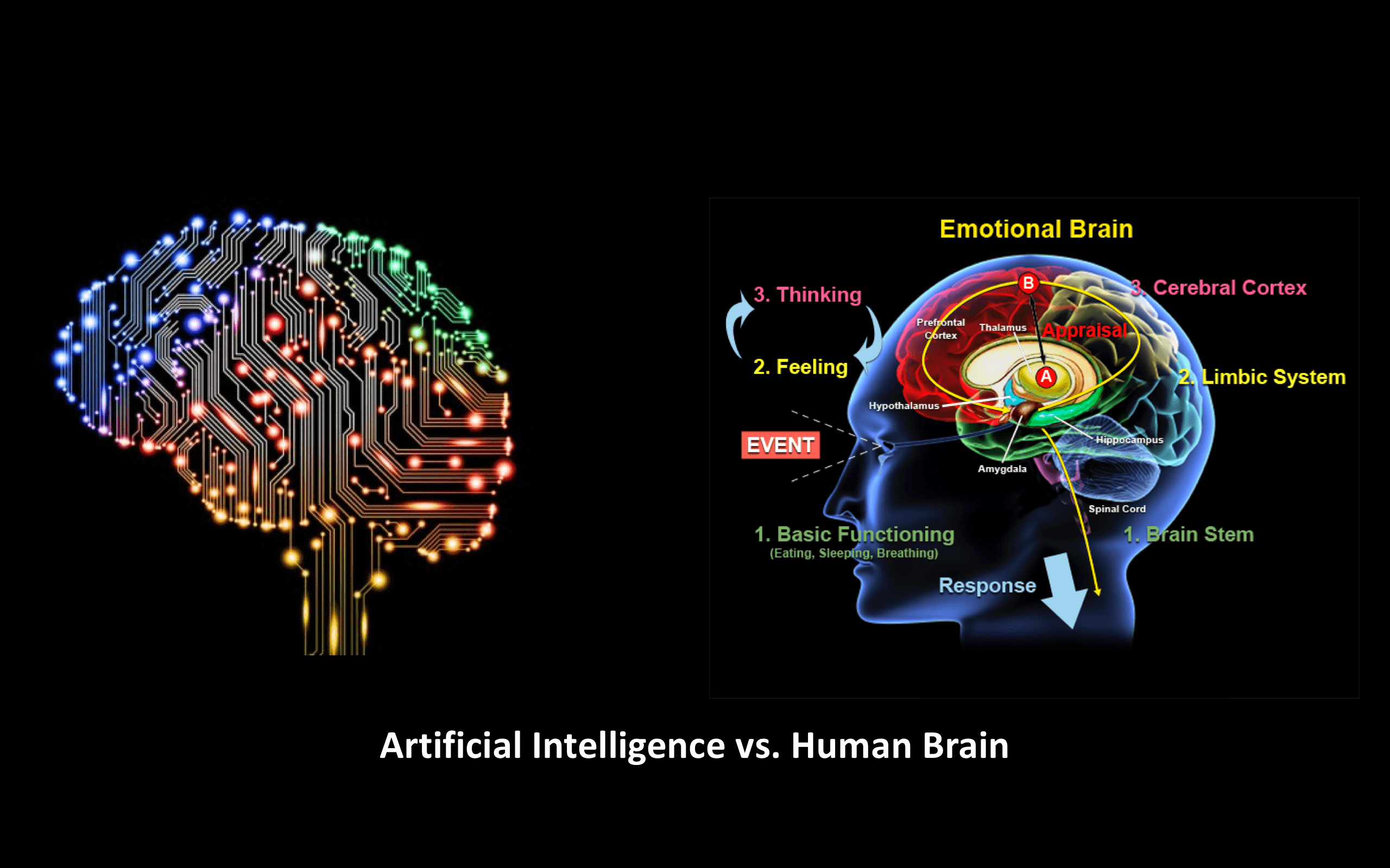 Brain Artificial Intelligence Human Hd Wallpapers