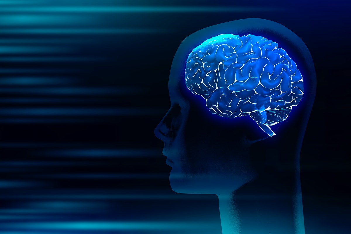 Brain Artificial Intelligence Human Hd Wallpapers