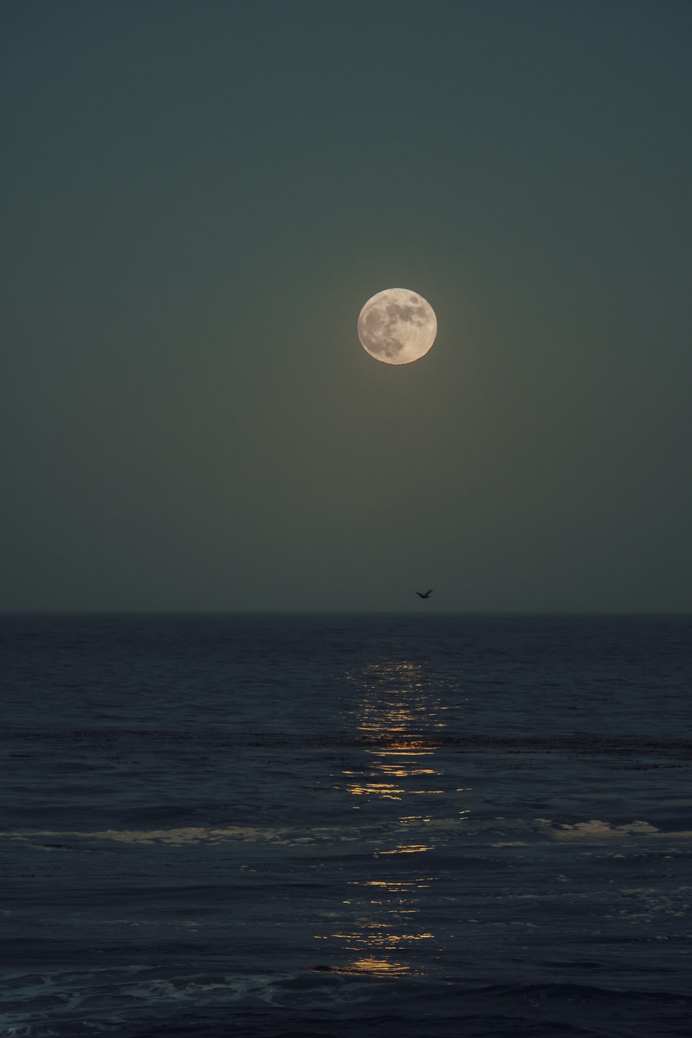 Catching The Moon In Ocean Wallpapers