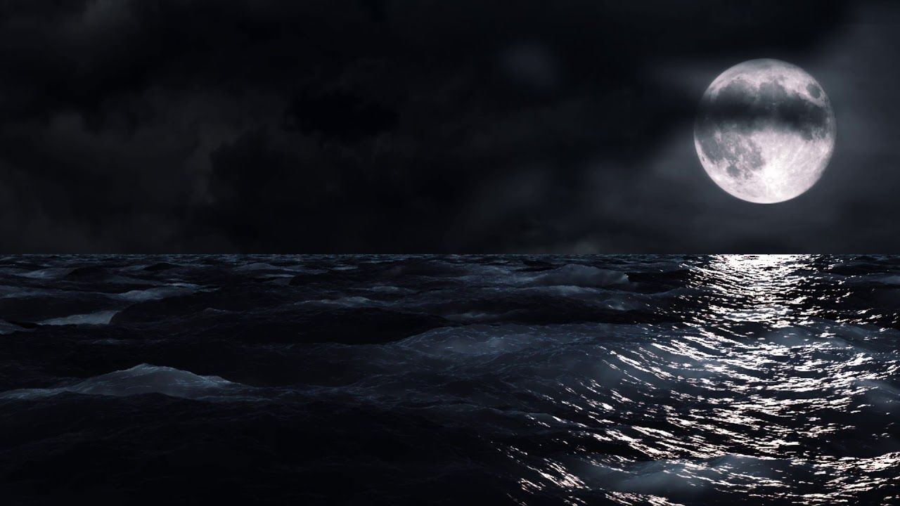 Catching The Moon In Ocean Wallpapers