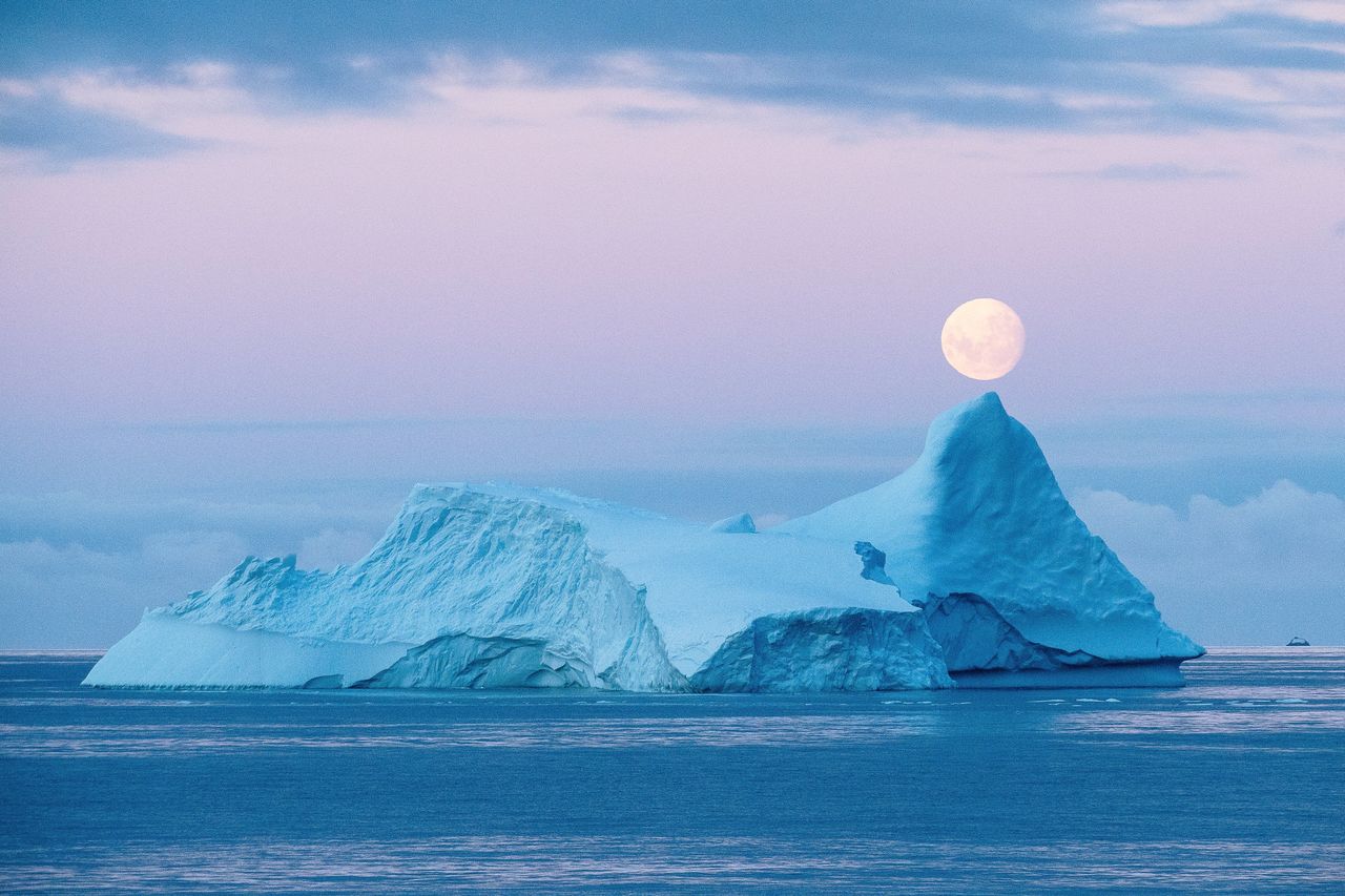 Catching The Moon In Ocean Wallpapers