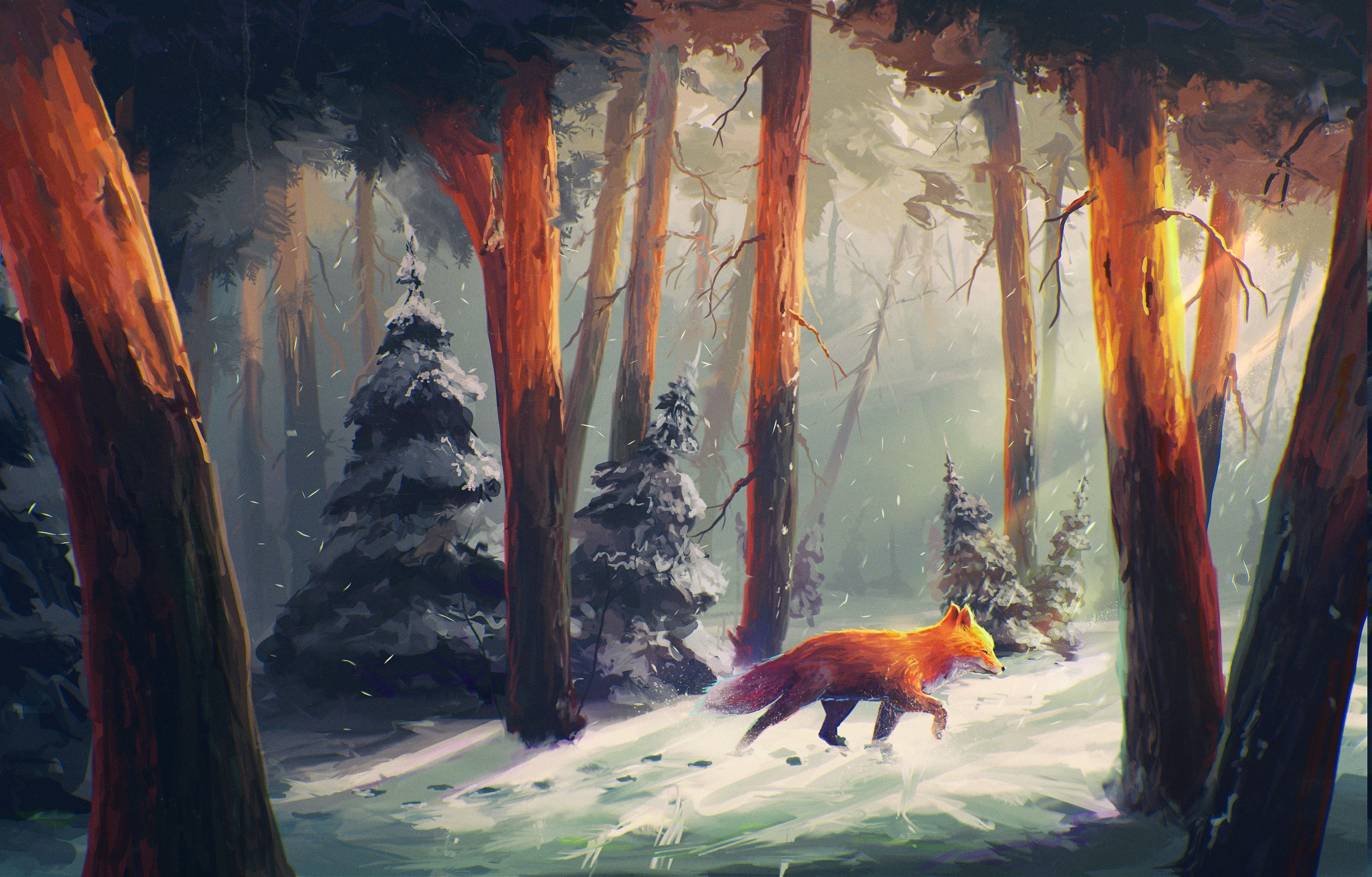 Cool Forest Illustration Wallpapers