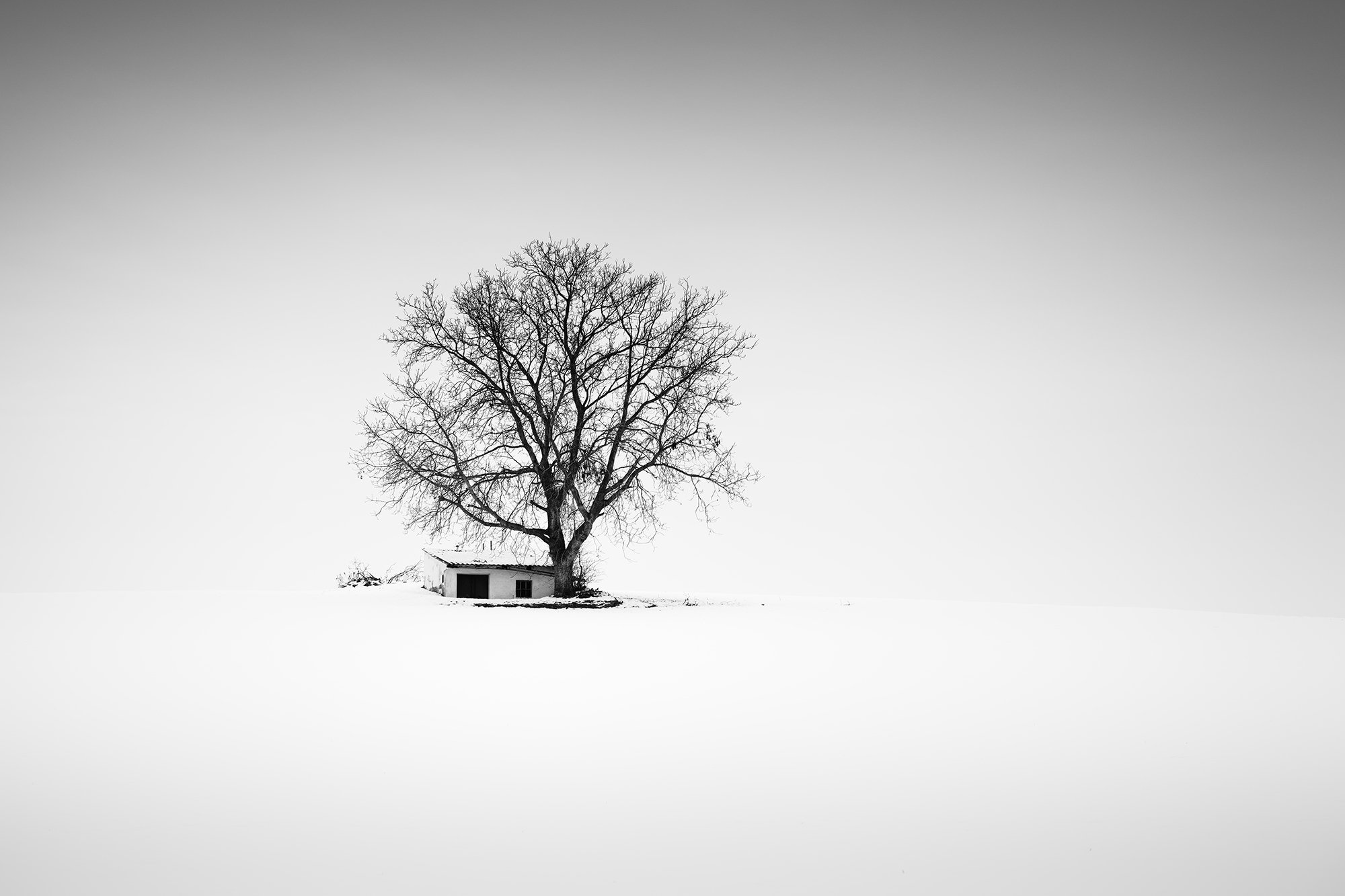 Cool Lonely House Art Wallpapers