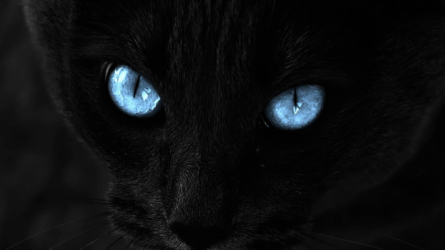 Creepy Blue Eye Wallpapers