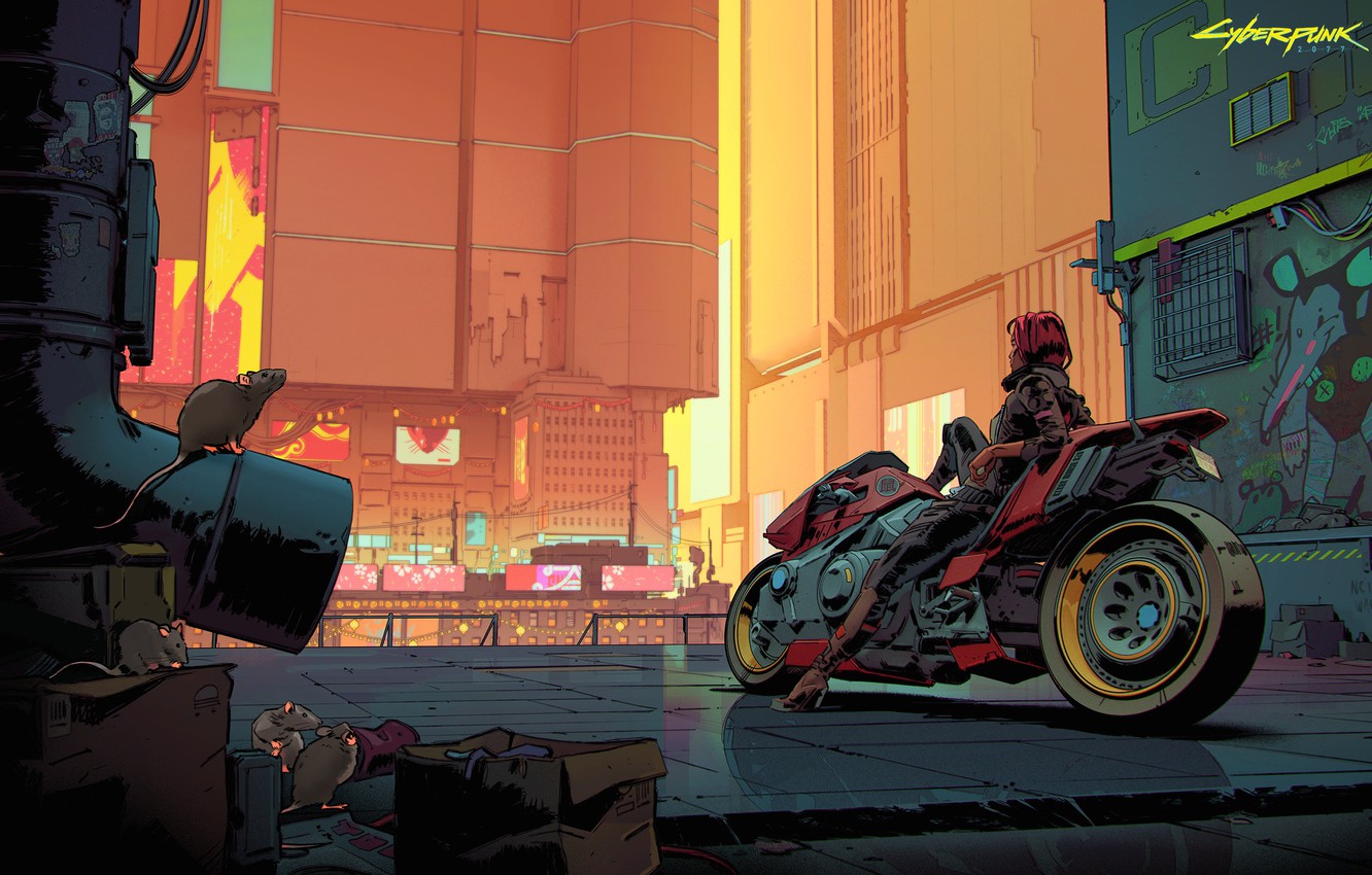 Cyberpunk Motorcycle Girl Wallpapers