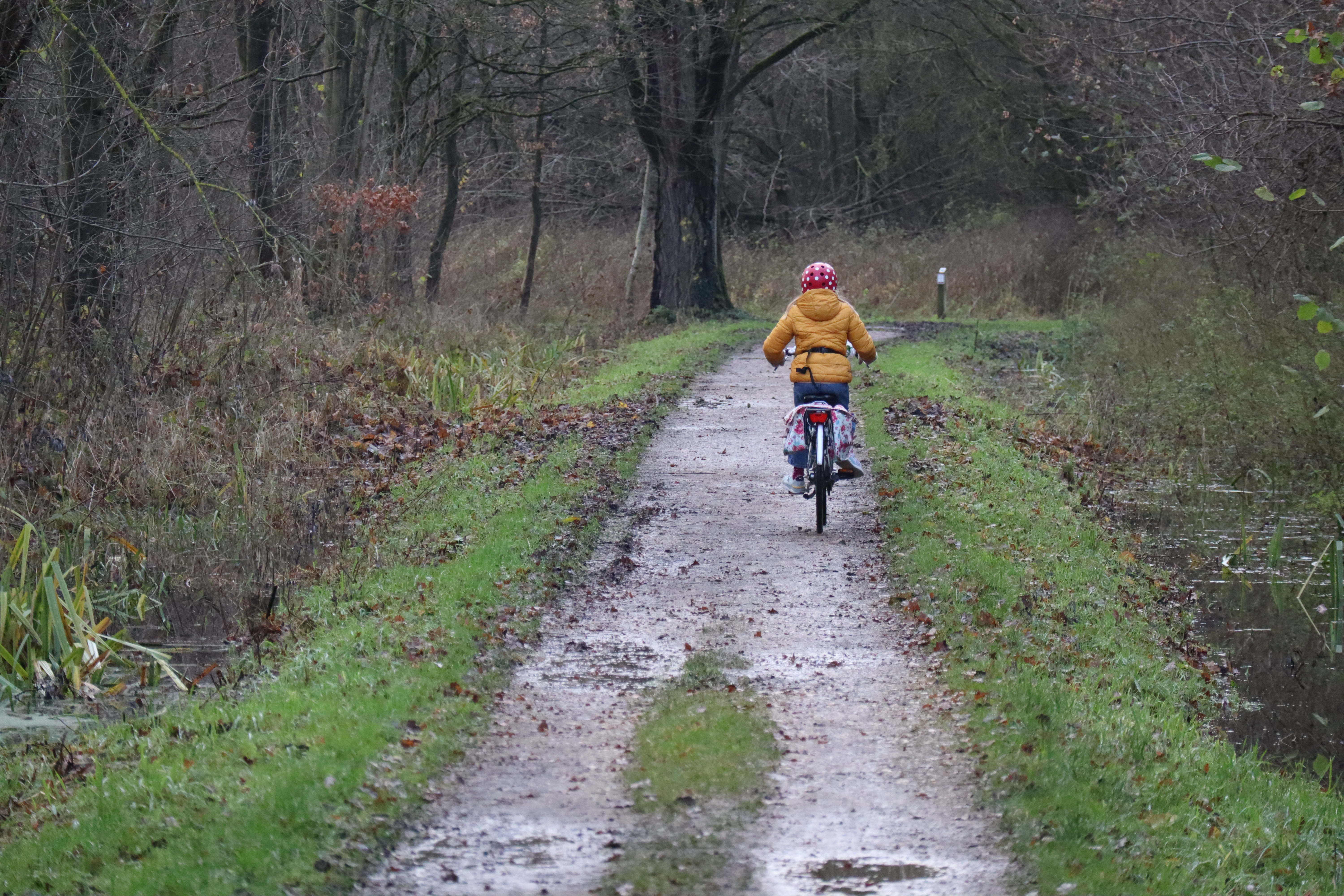 Cycling Near Yellow Moon Wallpapers