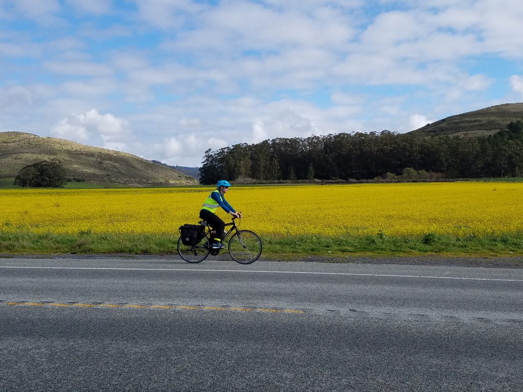 Cycling Near Yellow Moon Wallpapers