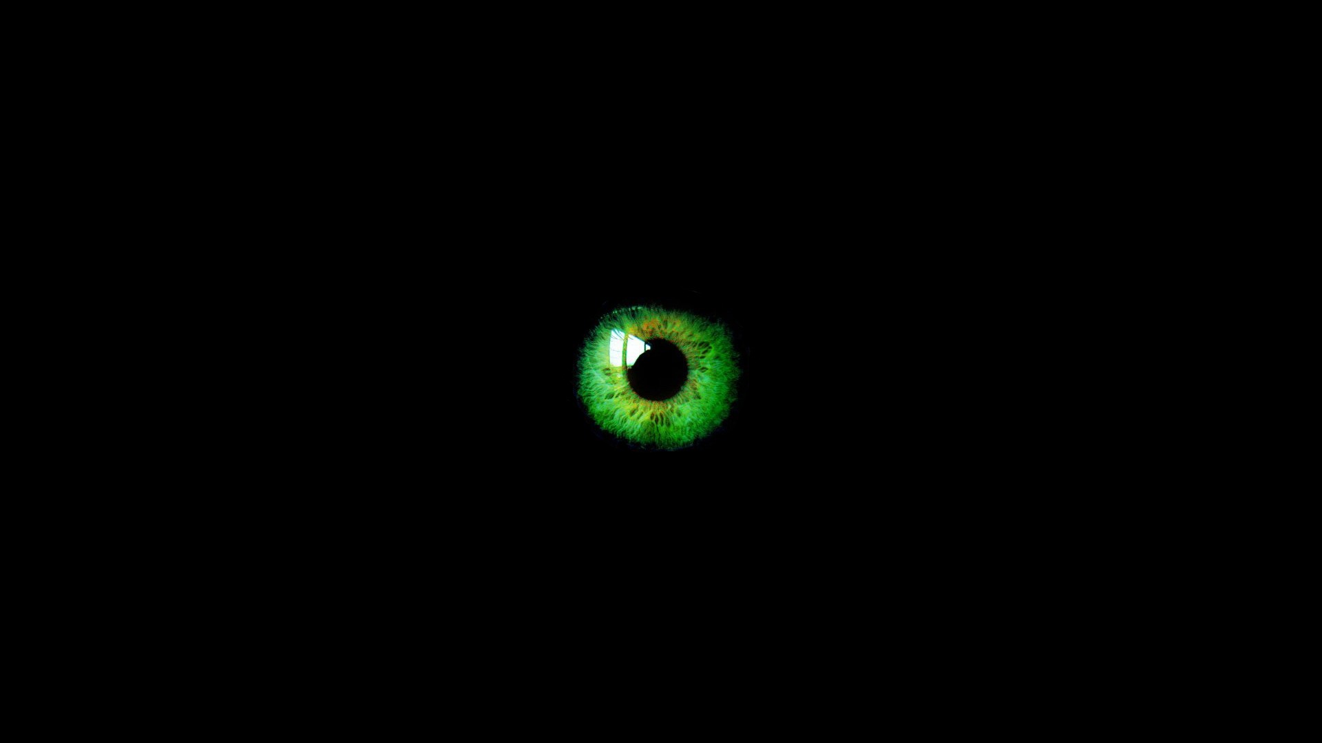 Dark Green Eyes Wallpapers