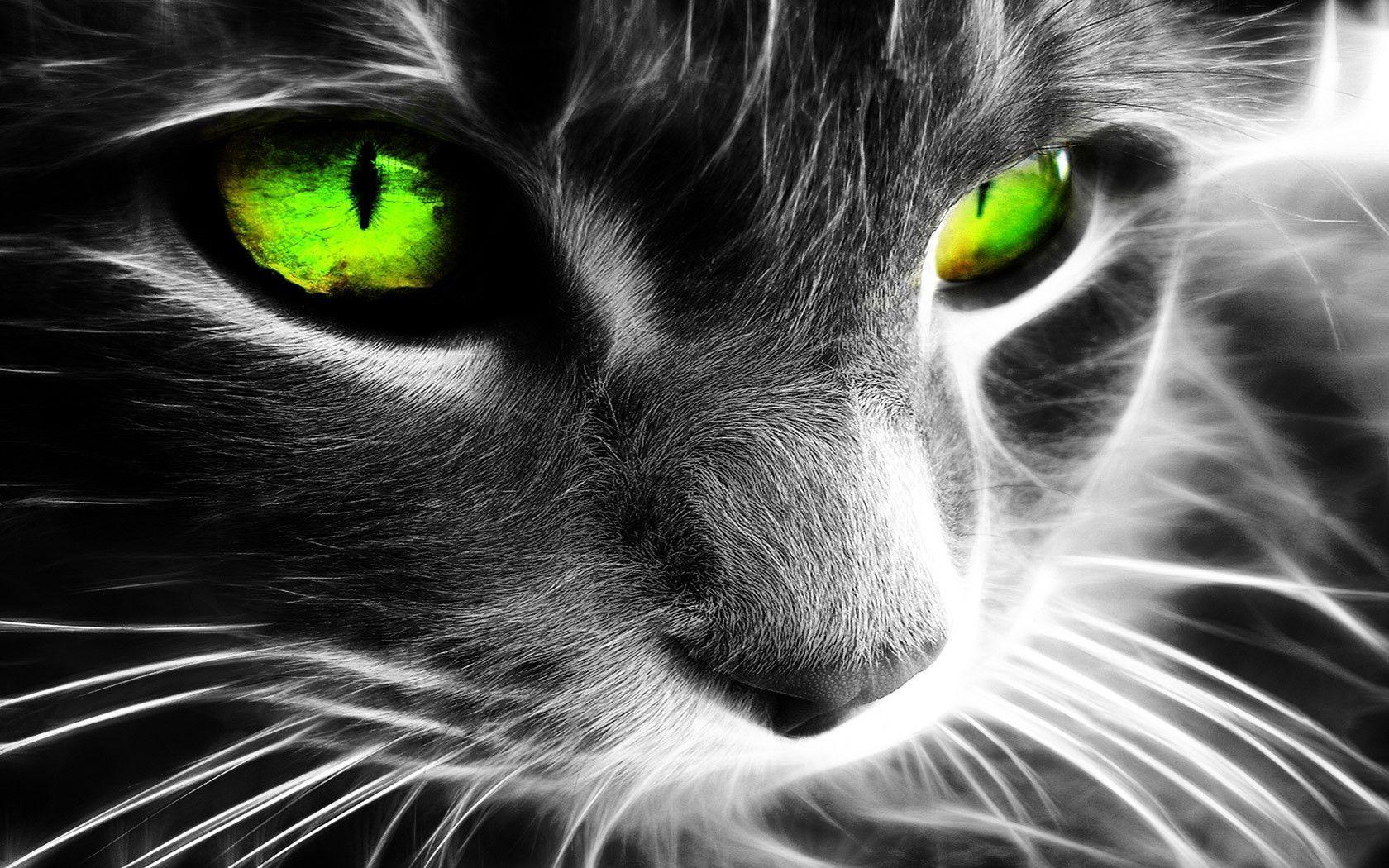 Dark Green Eyes Wallpapers