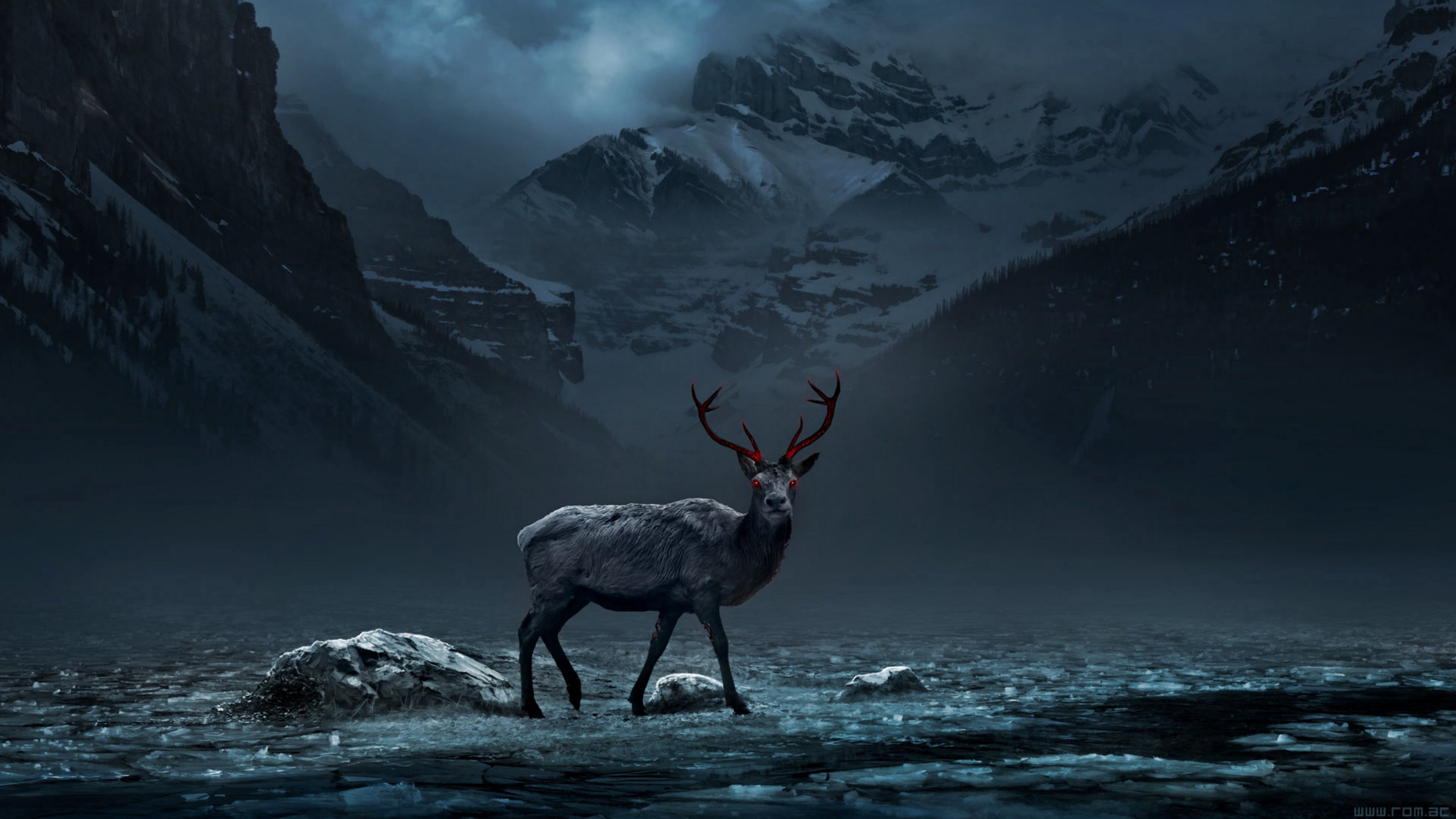 Deer 4K Forest Art Wallpapers