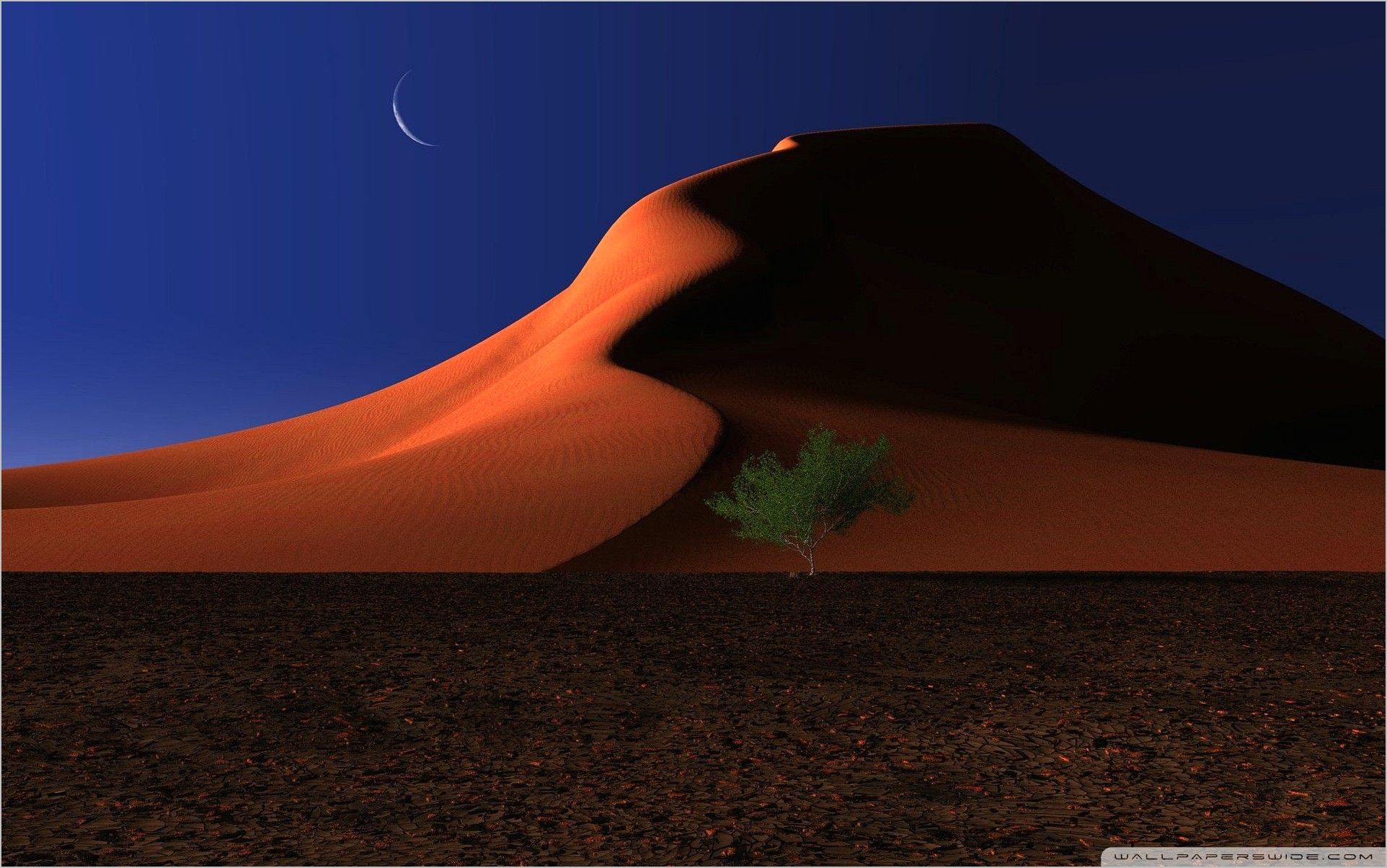 Desert 4K Night Illustration Wallpapers