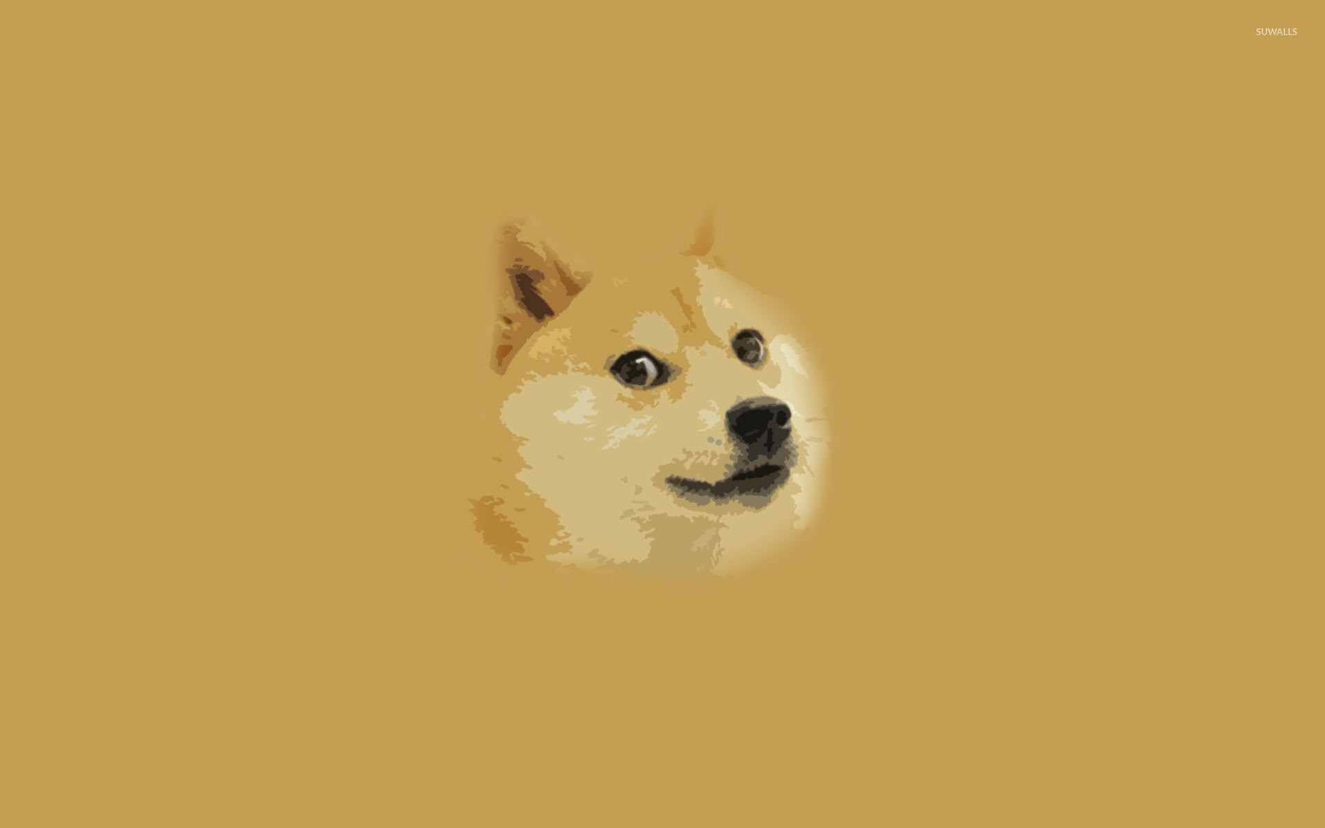 Dogecoin Math Art Wallpapers