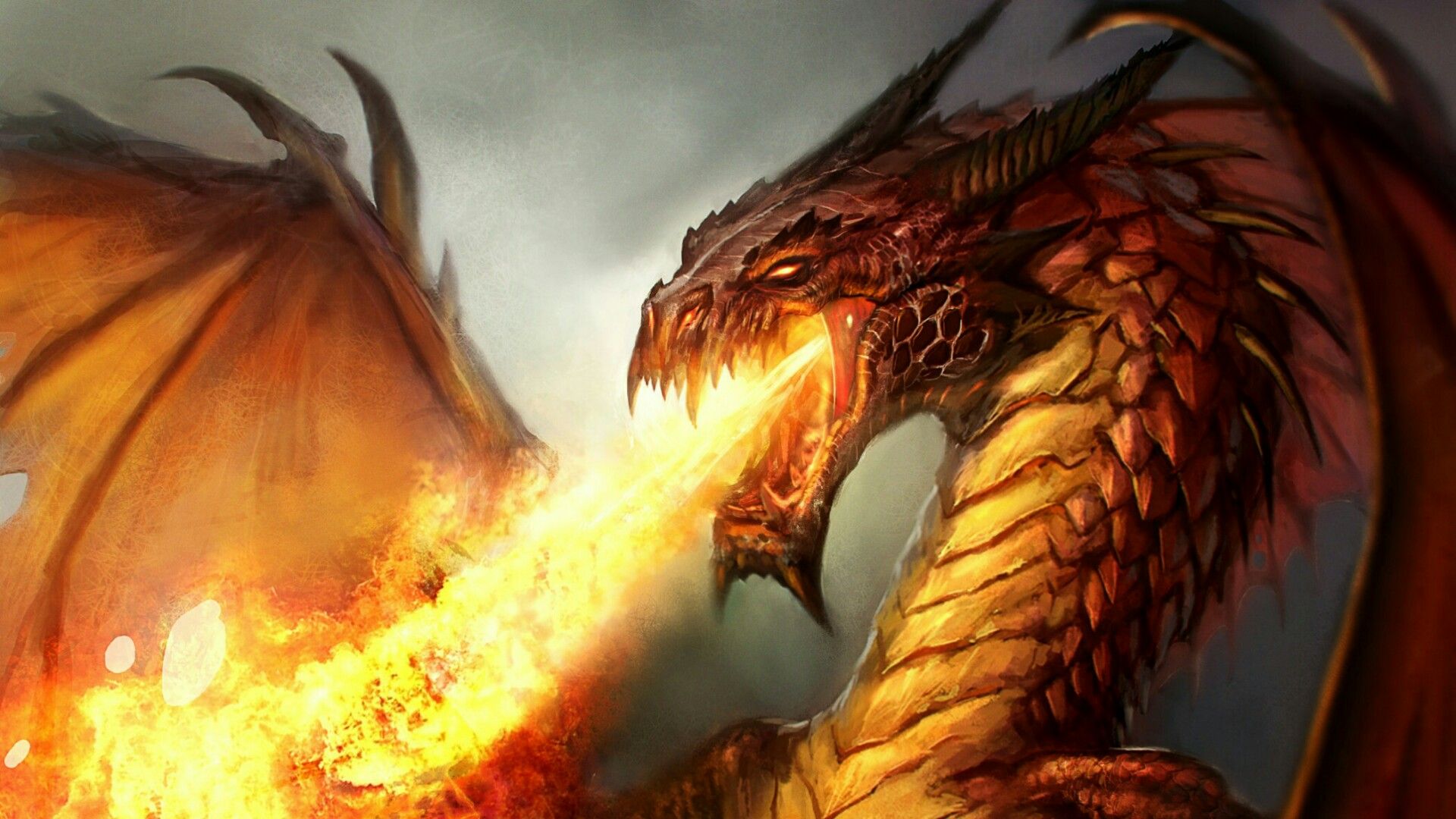 Dragon Burning Flames Wallpapers