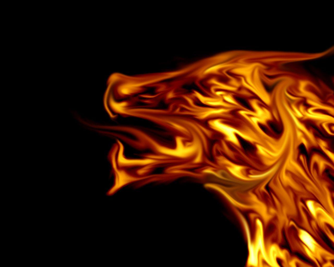 Dragon Burning Flames Wallpapers